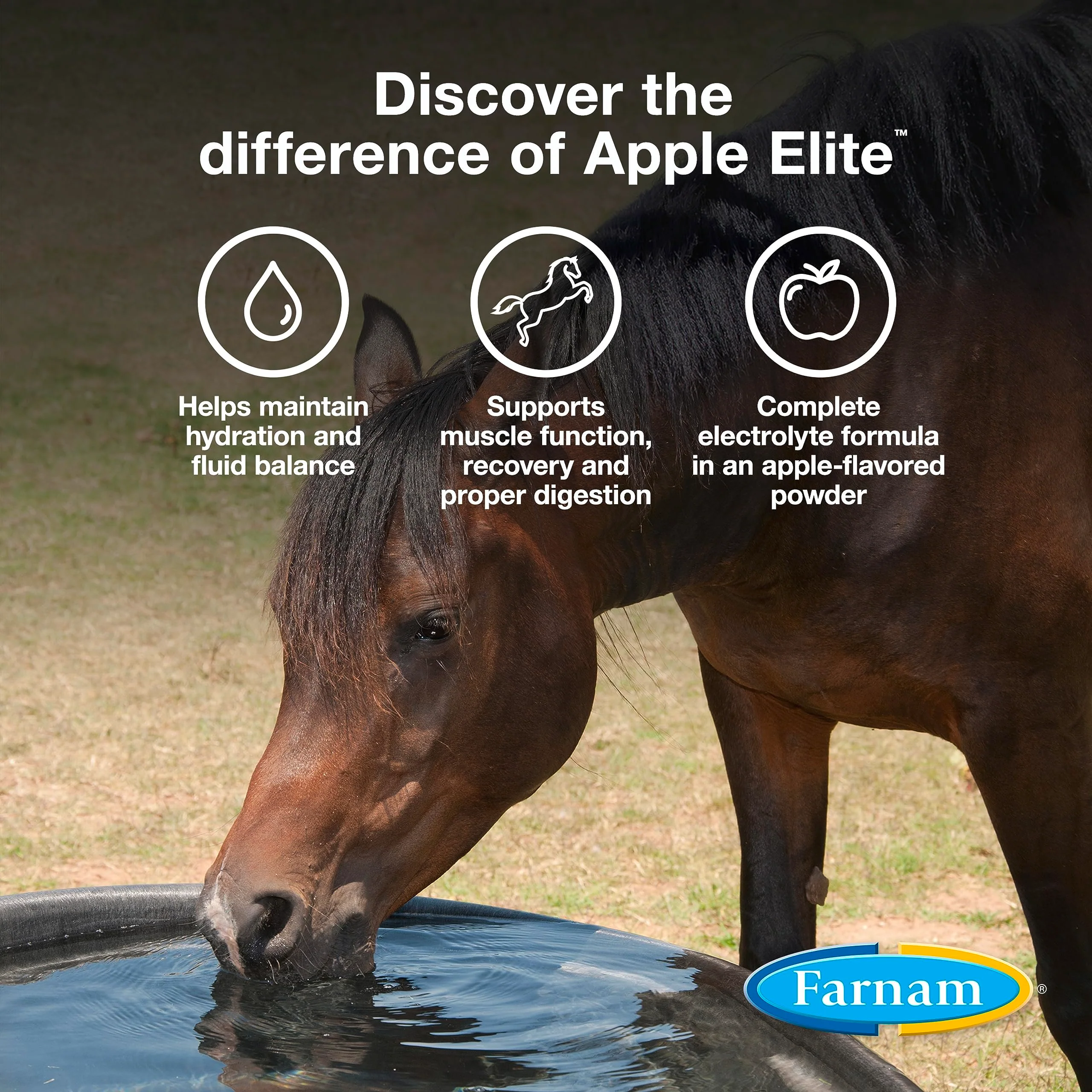 Farnam Apple Elite Horse Electrolytes Powder Supplement, Replaces Vital Minerals, Encourages Hydration, Sugar-Free, Contains Sodium, Potassium, Calcium & Magnesium, Apple Flavored, 5 lb - Image 9