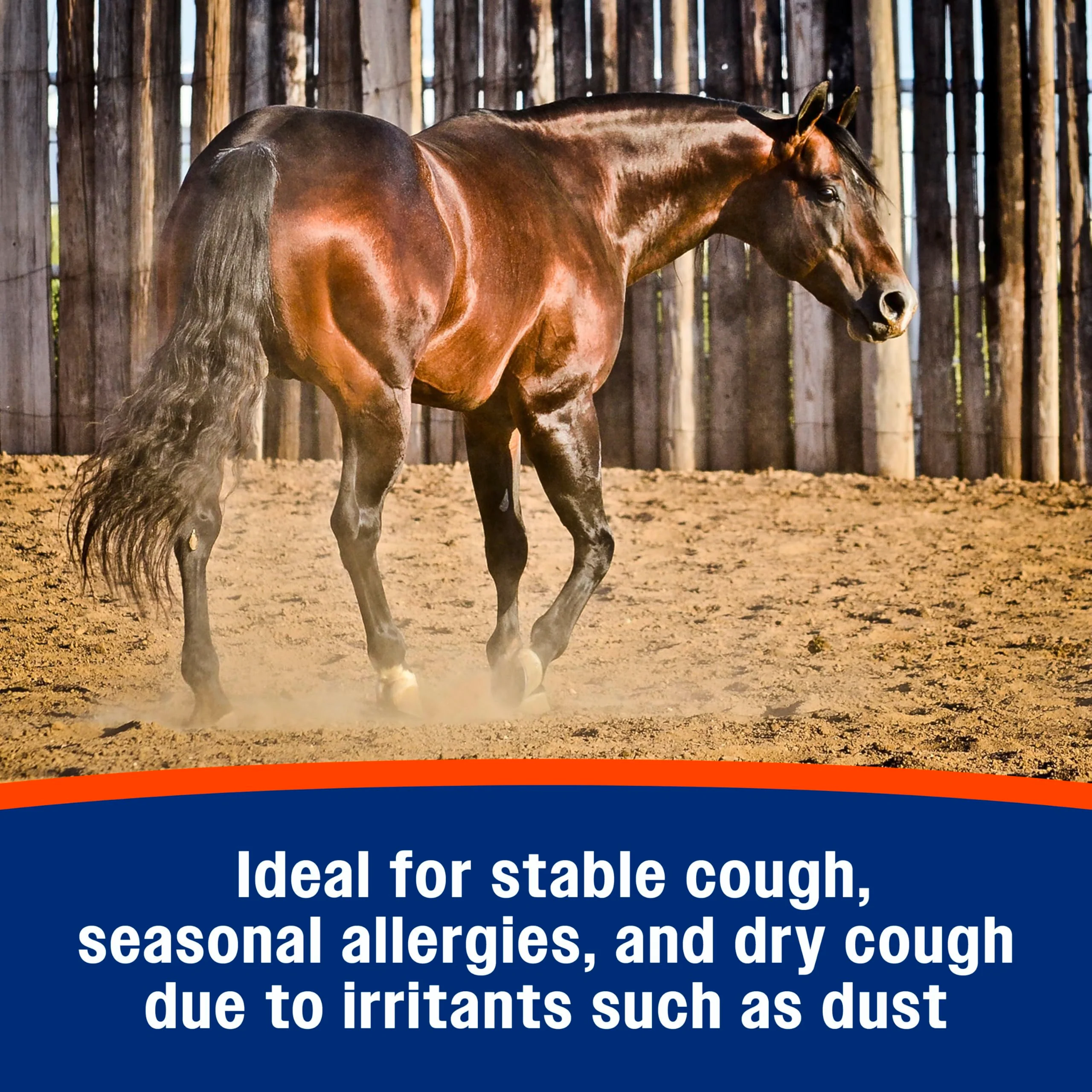 Farnam Cough Free Horse Supplement Pellets, Respiratory Support for Seasonal Allergies, Stable Cough, Lung Support Supplement, Show Safe, Herbal Formula, 2.5 lbs, 70-Day Supply - Image 14