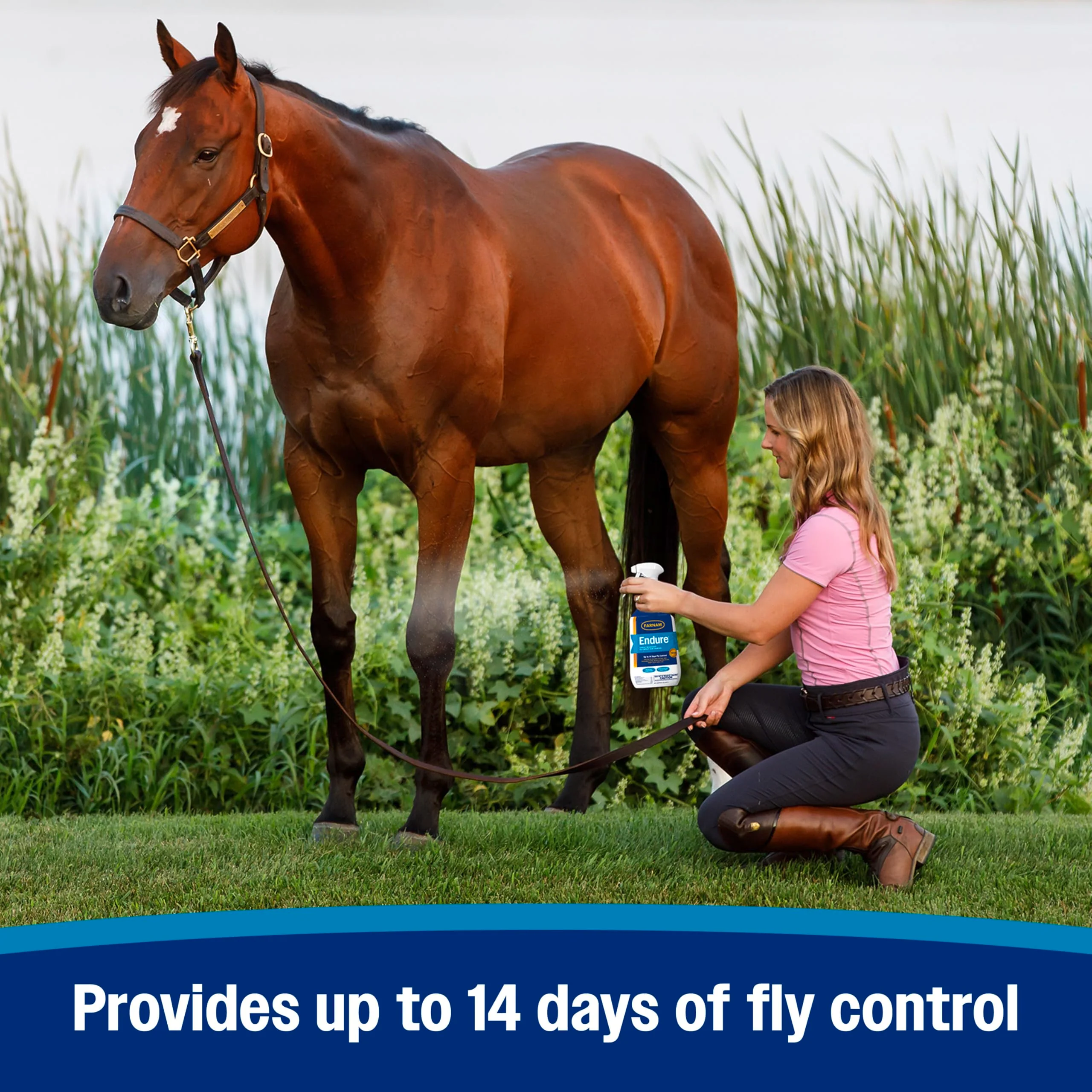 Farnam Endure Sweat-Resistant Fly Spray for Horses, Sweat-Rsistant Formula Lasts Up to 14 Days, Kills and Repels Against Flies, Gnats, Mosquitoes, Ticks & Lice, 128 oz. - Image 6
