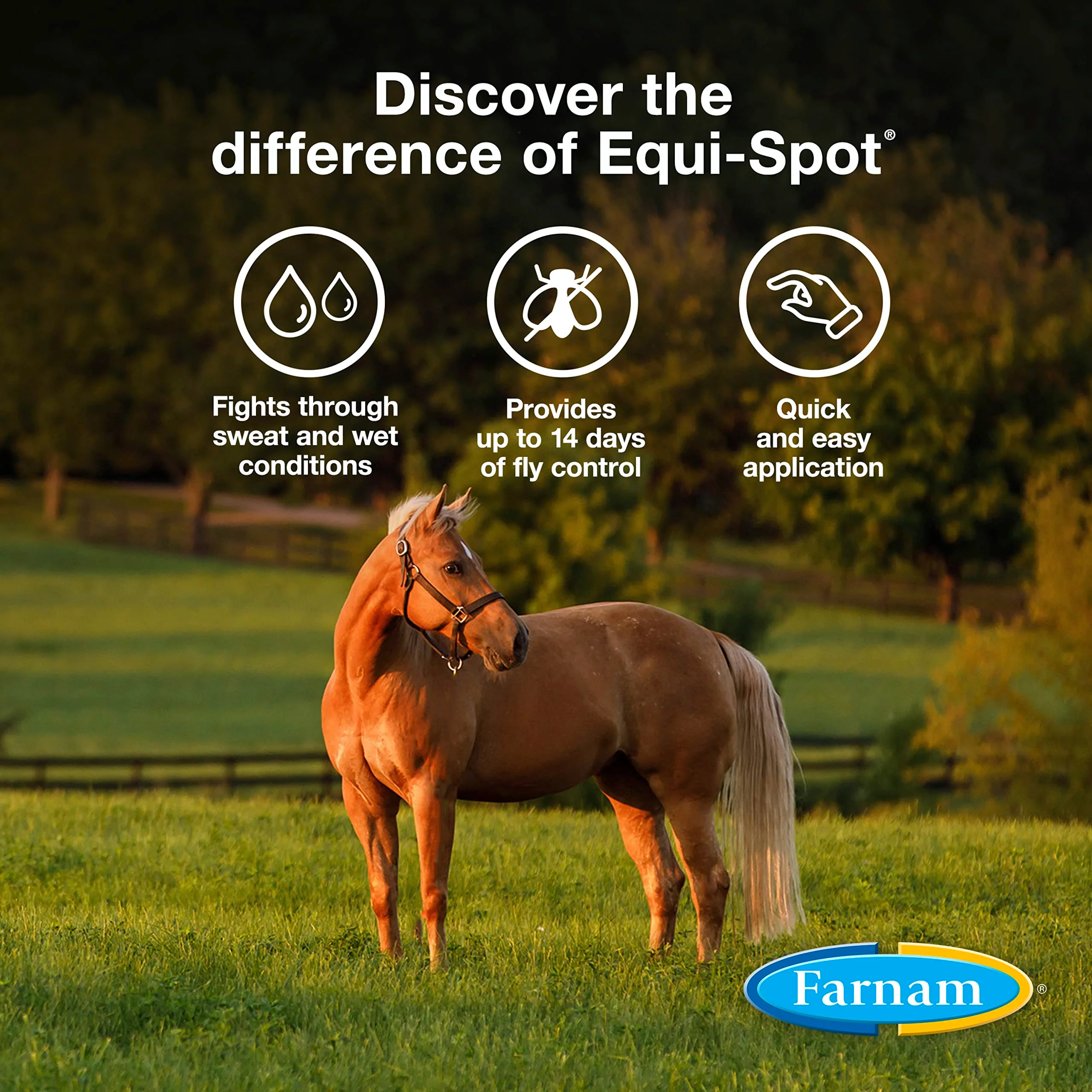 Farnam Equi-Spot, Horse Fly Control, Long-lasting Protection, 6 Applications, 12-Week Supply for One Horse - Image 8