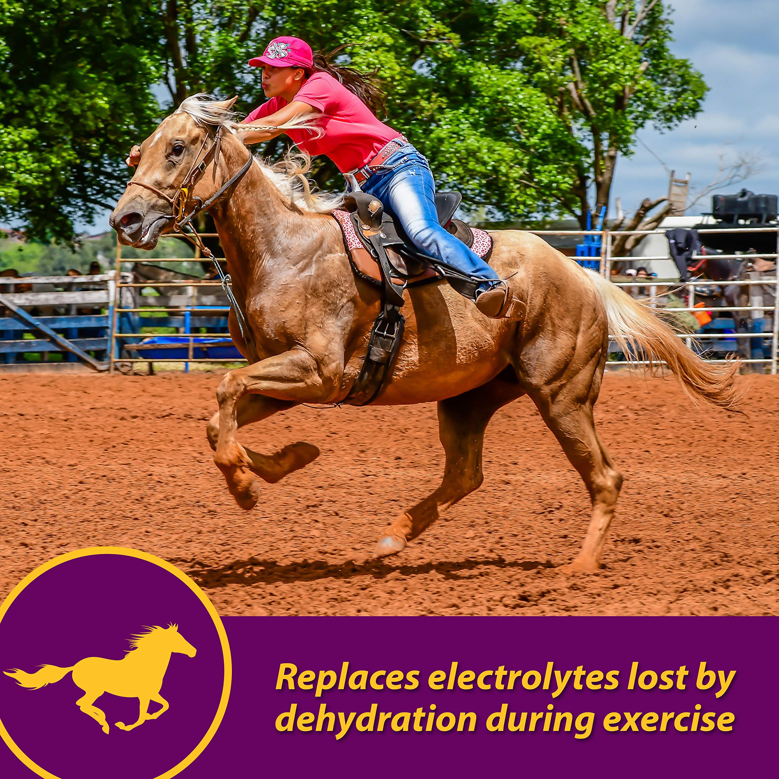 Farnam Horse Health Apple-Dex Apple Flavored Electrolytes for Horses 5 pound - Image 12