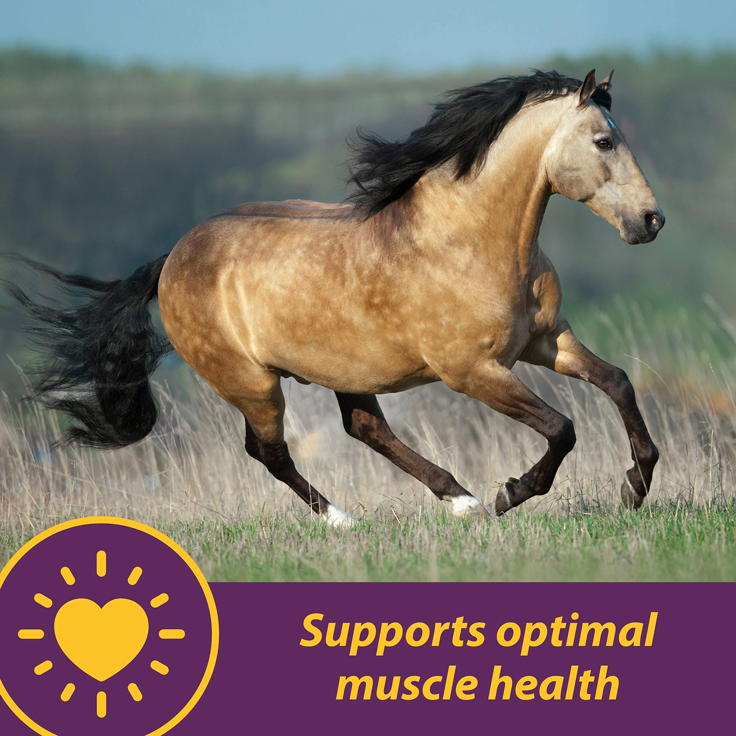 Farnam Horse Health Vita E & Selenium Crumbles Horse Vitamin Supplement, Supports optimal muscle health & antioxidant support, 3 lbs., 96 day supply - Image 7