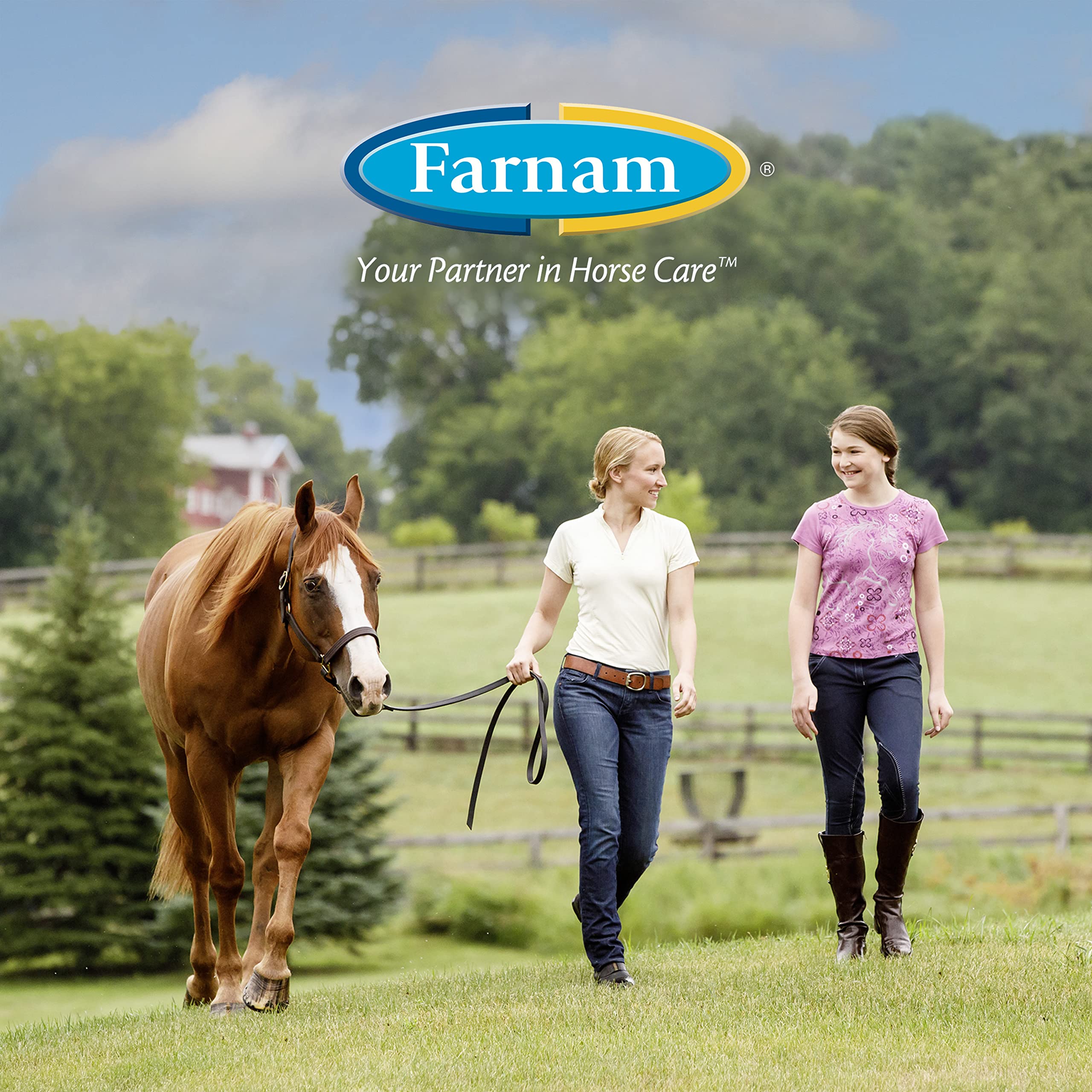 Farnam Horseshoer’s Secret Pelleted Hoof Supplement Concentrate, 25 mg of Biotin per 2 oz. Serving, For Cracked and Strong Hoof Walls, Horse Biotin Supplement with Amino Acids, 3.75 lb 30-Day Supply - Image 4