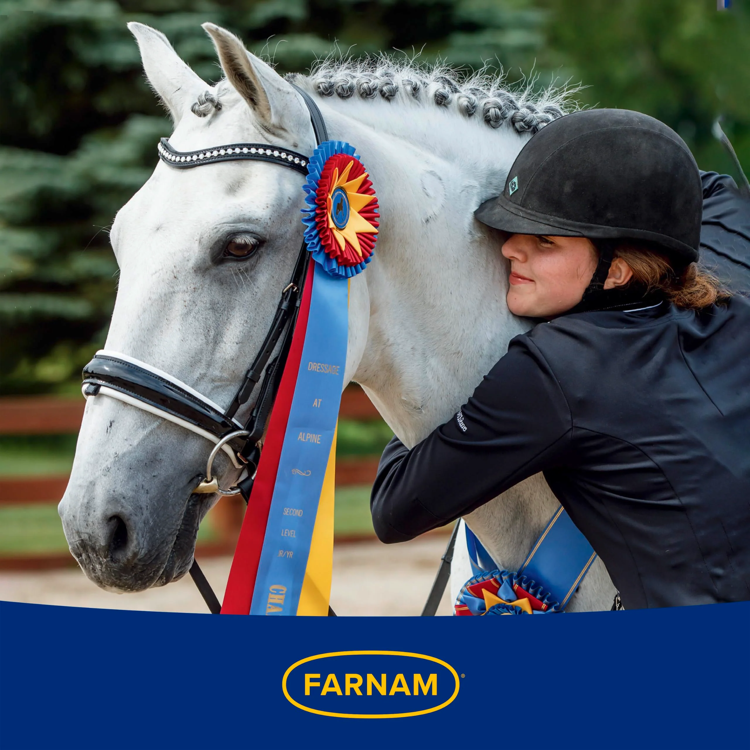 Farnam Laser Sheen Dazzling Shine and Detangler Concentrate for Horses, Repels Dirt and Stains, Makes 1 Gallon of Spray, 12 fluid ounces - Image 6