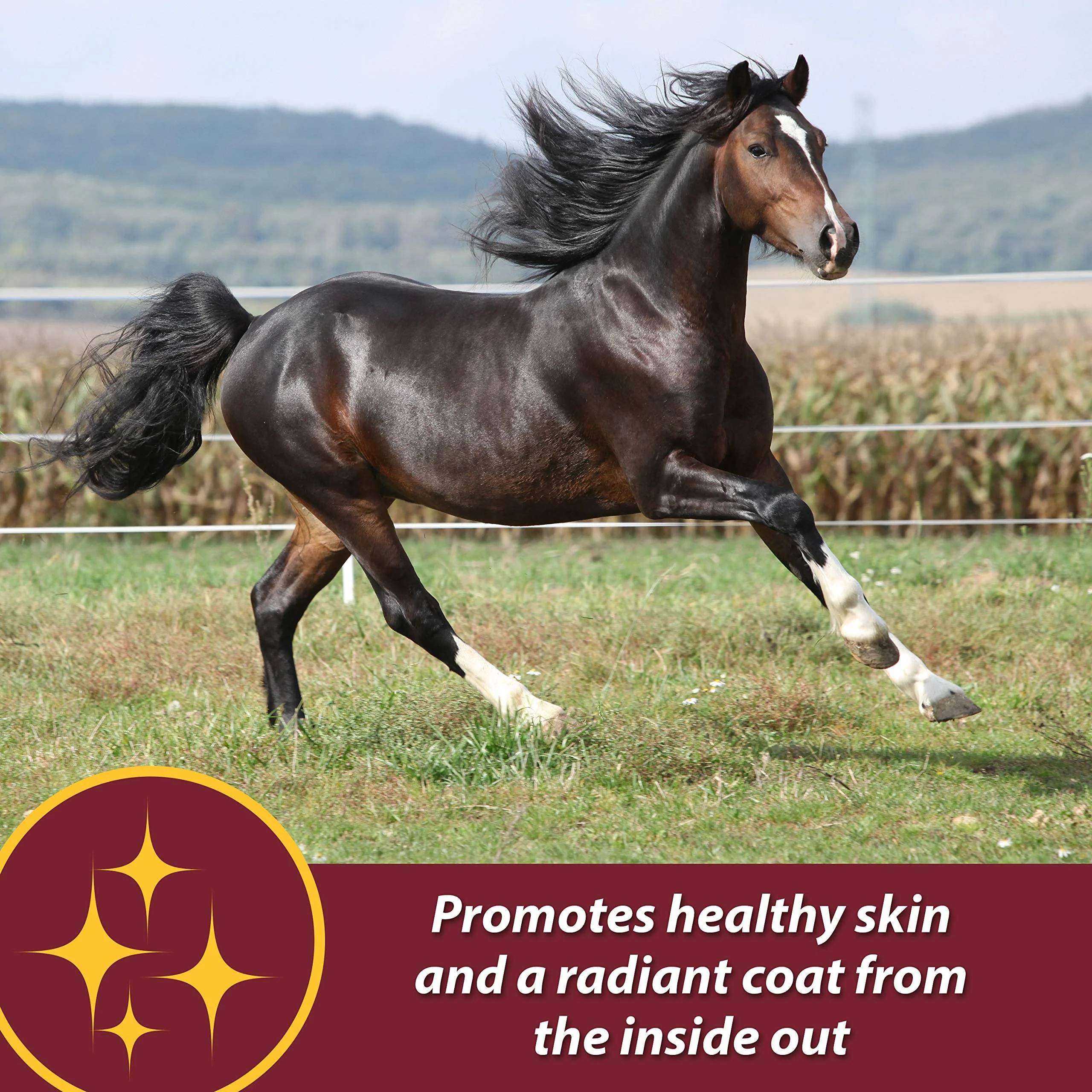 Farnam Laser Sheen Skin & Coat Supplement for Horses, Promotes Healthy Skin & Radiant Coat from The Inside Out, 3.75 Pounds 30 Day Supply - Image 12