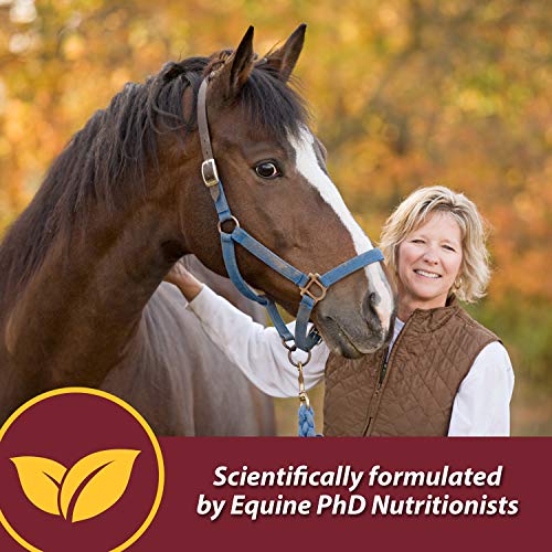 Farnam Laser Sheen Skin & Coat Supplement for Horses, Promotes Healthy Skin & Radiant Coat from The Inside Out, 3.75 Pounds 30 Day Supply - Image 4