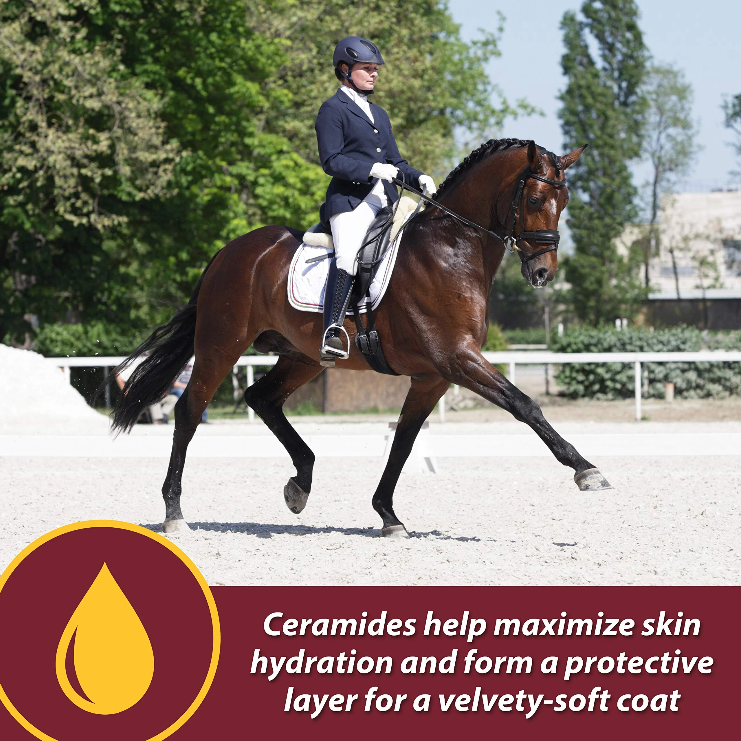 Farnam Laser Sheen Skin & Coat Supplement for Horses, Promotes Healthy Skin & Radiant Coat from The Inside Out, 3.75 Pounds 30 Day Supply - Image 9