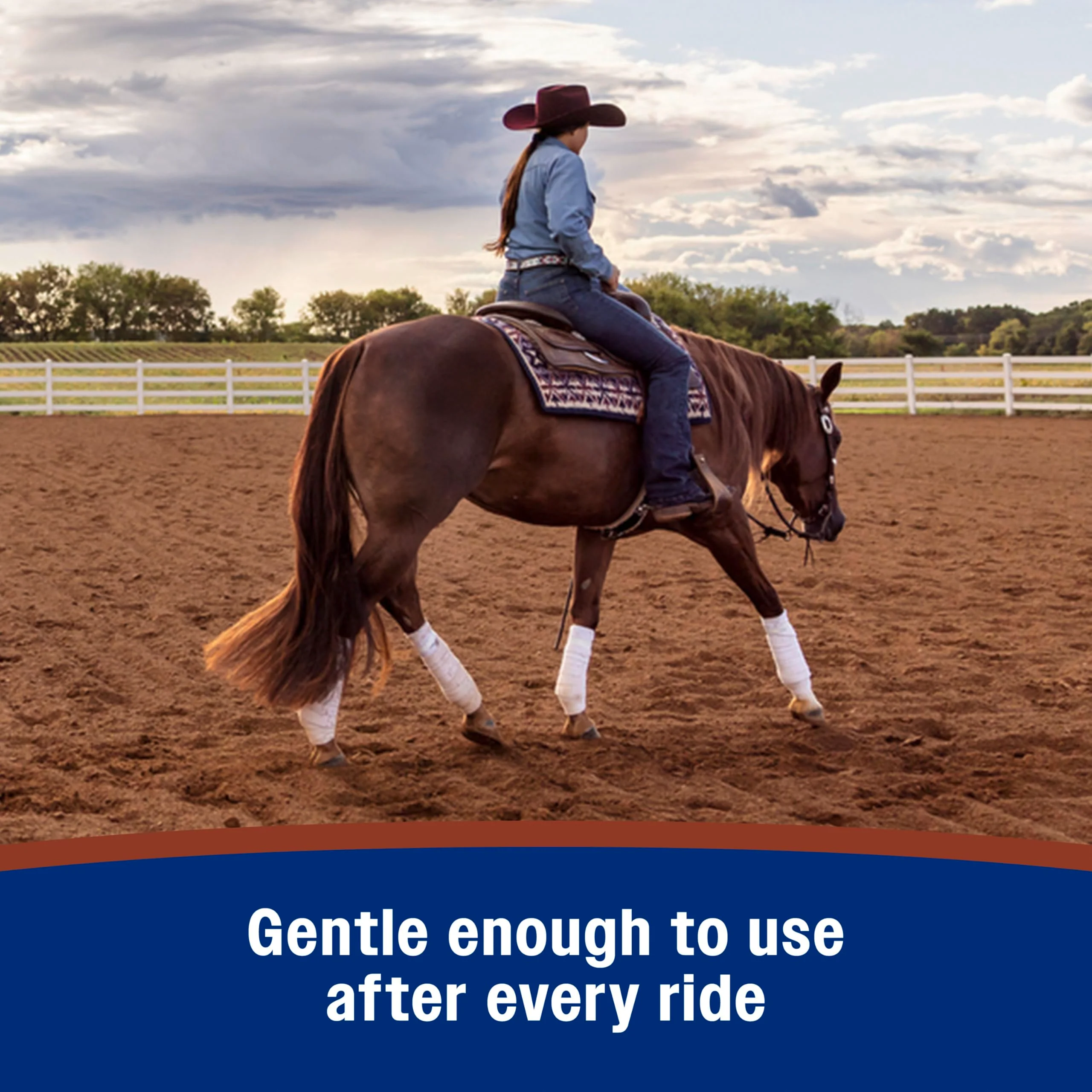 Farnam Leather New Easy-Polishing Glycerine Saddle Soap and Leather Cleaner, 16 oz - Image 8