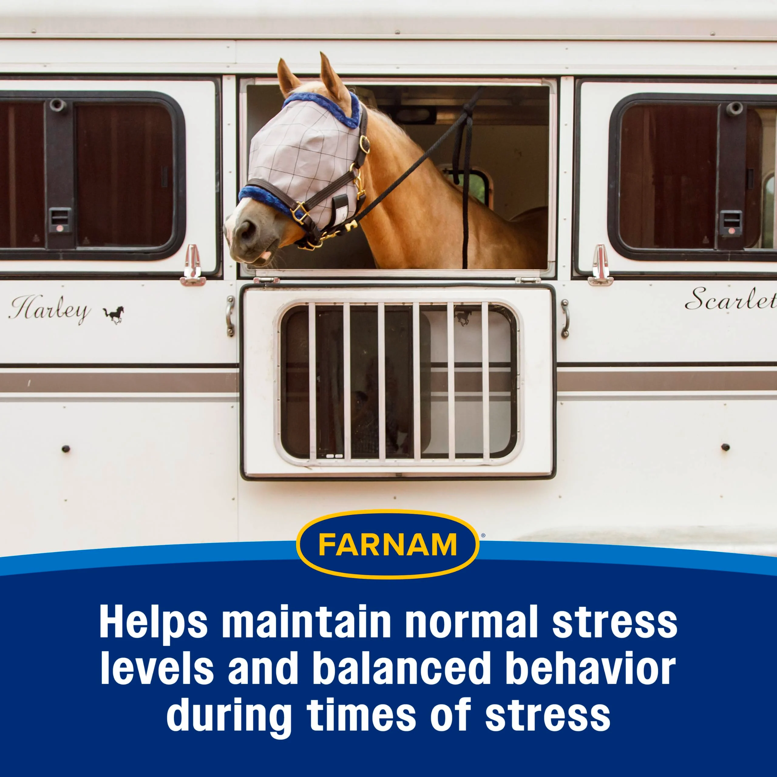 Farnam Quietex Show Calming & Focusing Paste for Horses, 30 cc Syringe, Show Safe Horse Calm Magnesium Supplement Paste, Help Manage Nervous Behavior, Focus, Keep Calm, Relaxed & Composed - Image 6