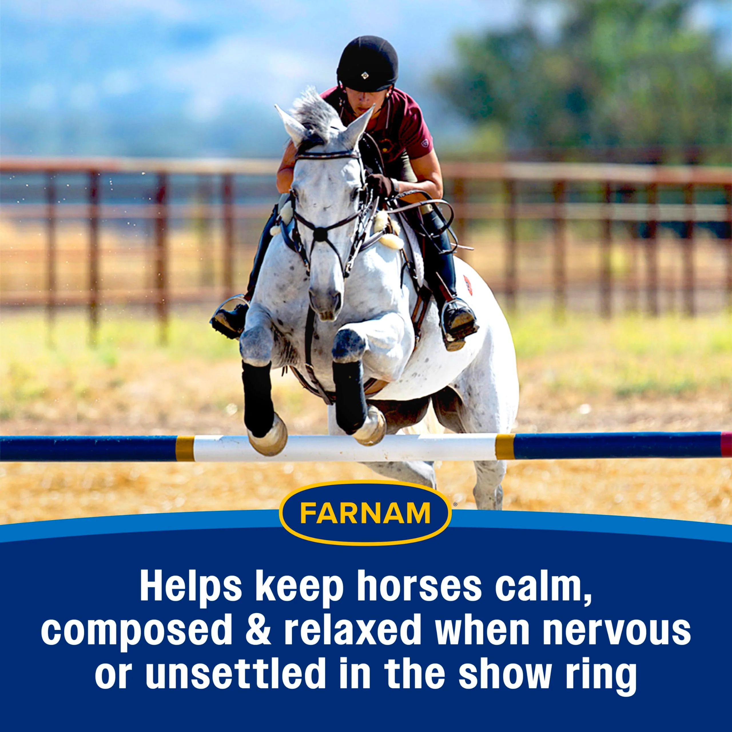 Farnam Quietex Show Calming & Focusing Paste for Horses, 30 cc Syringe, Show Safe Horse Calm Magnesium Supplement Paste, Help Manage Nervous Behavior, Focus, Keep Calm, Relaxed & Composed - Image 7