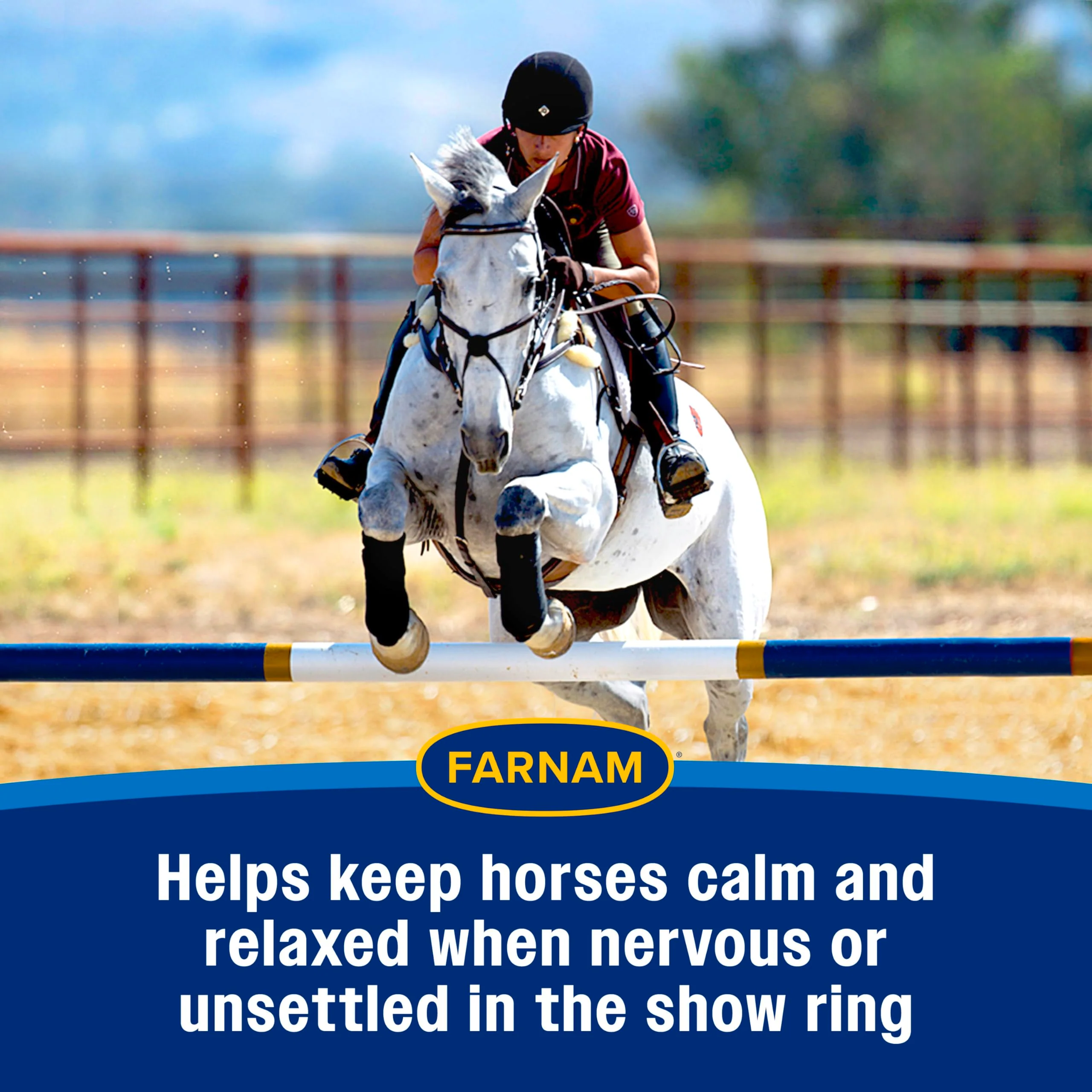 Farnam Quietex Show Pellets, Horse Calming Supplement and Focus Support, Show Safe Horse Calming Magnesium Supplement with Omega Fatty Acids, Helps Manage Behavior & Stress Relief for Horses, 3.75 lbs - Image 8