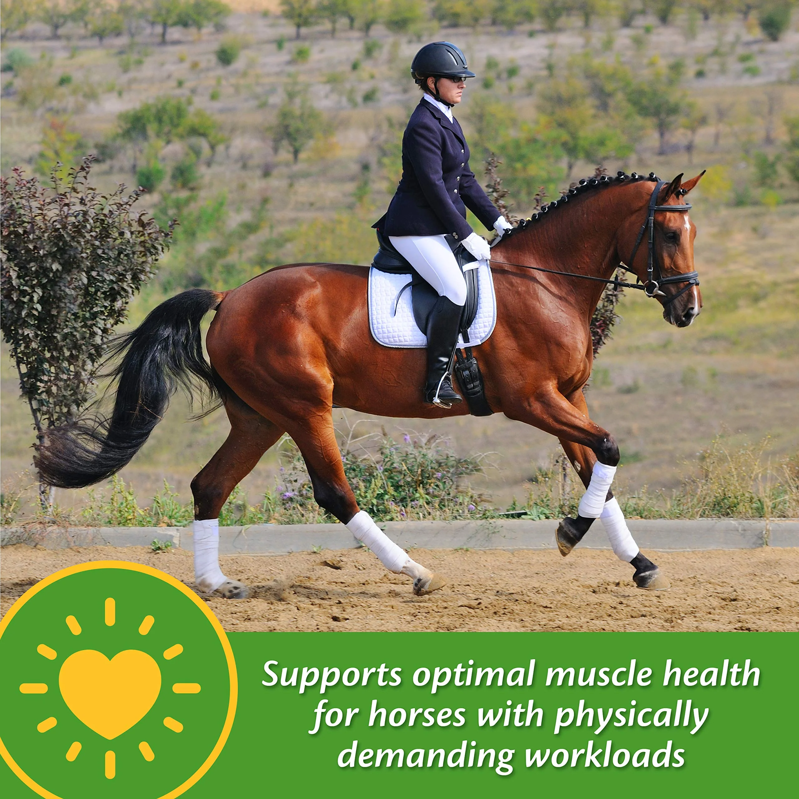 Farnam Vita-Min E & Selenium Antioxidant Supplement for Horses, Horse Vitamin E Supplement, Muscle Health and Peak Condition, 3 lb, 96 Day Supply - Image 3