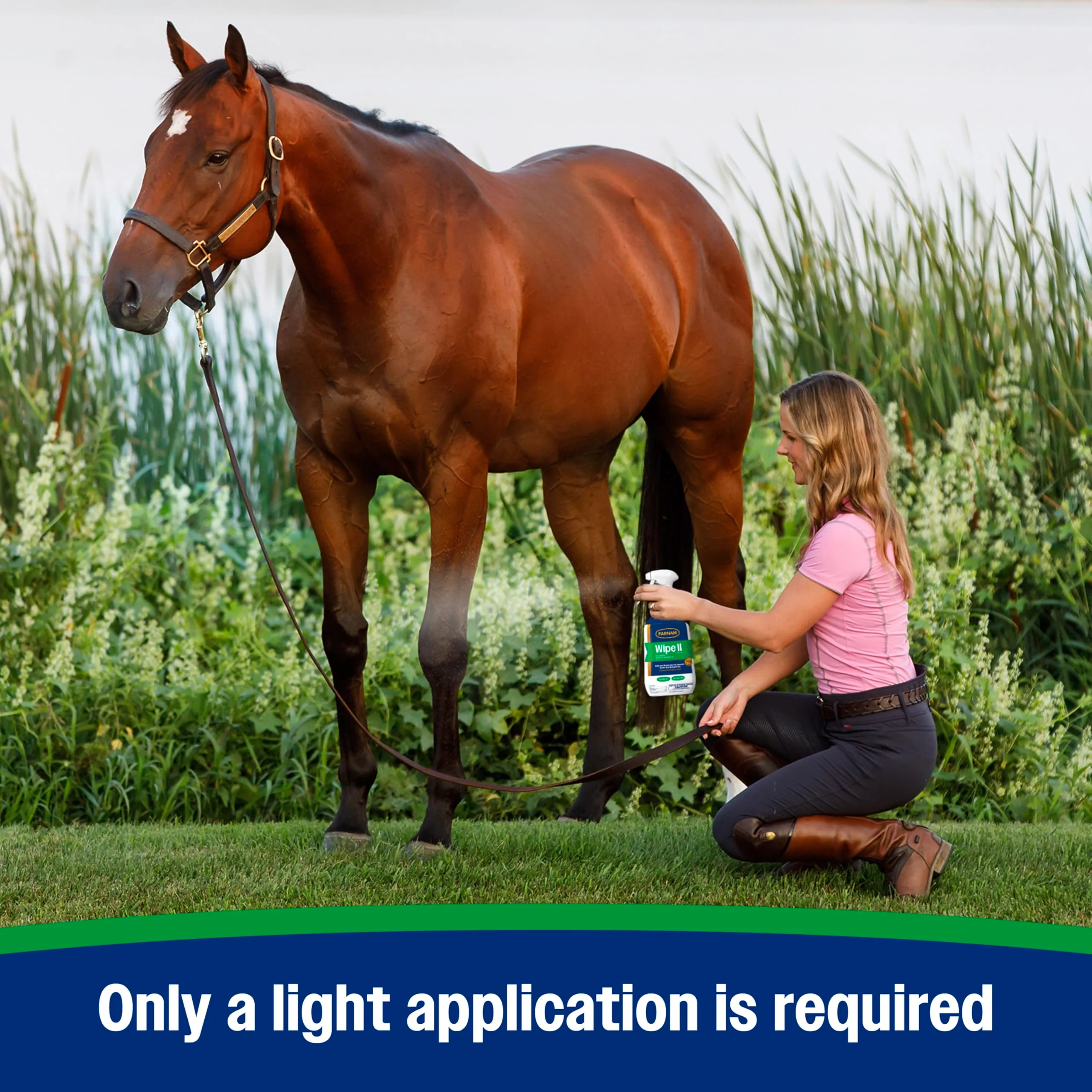 Farnam Wipe II Brand Horse Fly Spray with Citronella, Kills and Repels Flies, Conditions Coats, 32 oz - Image 7