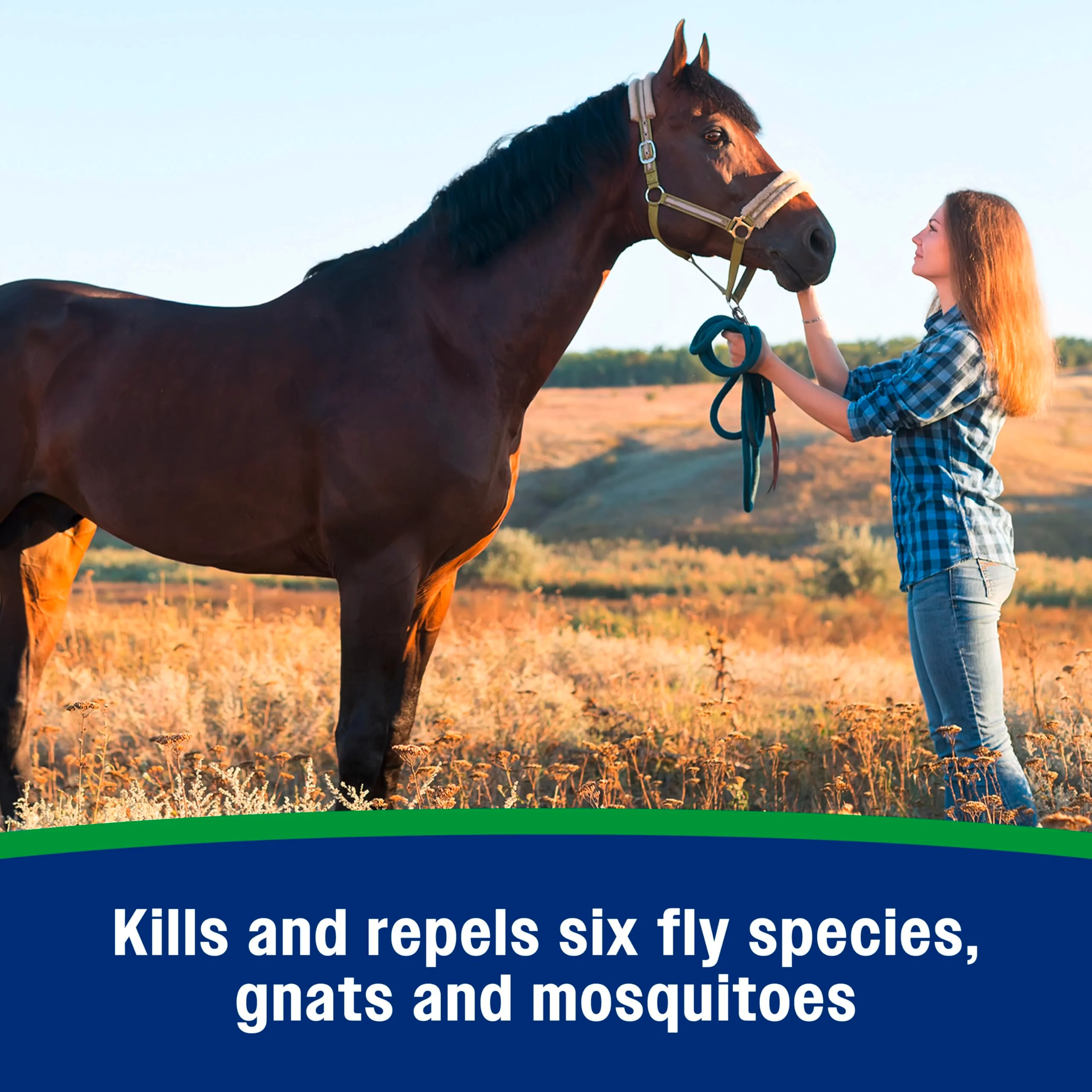 Farnam Wipe II Brand Horse Fly Spray with Citronella, Kills and Repels Flies, Conditions Coats, 32 oz - Image 9