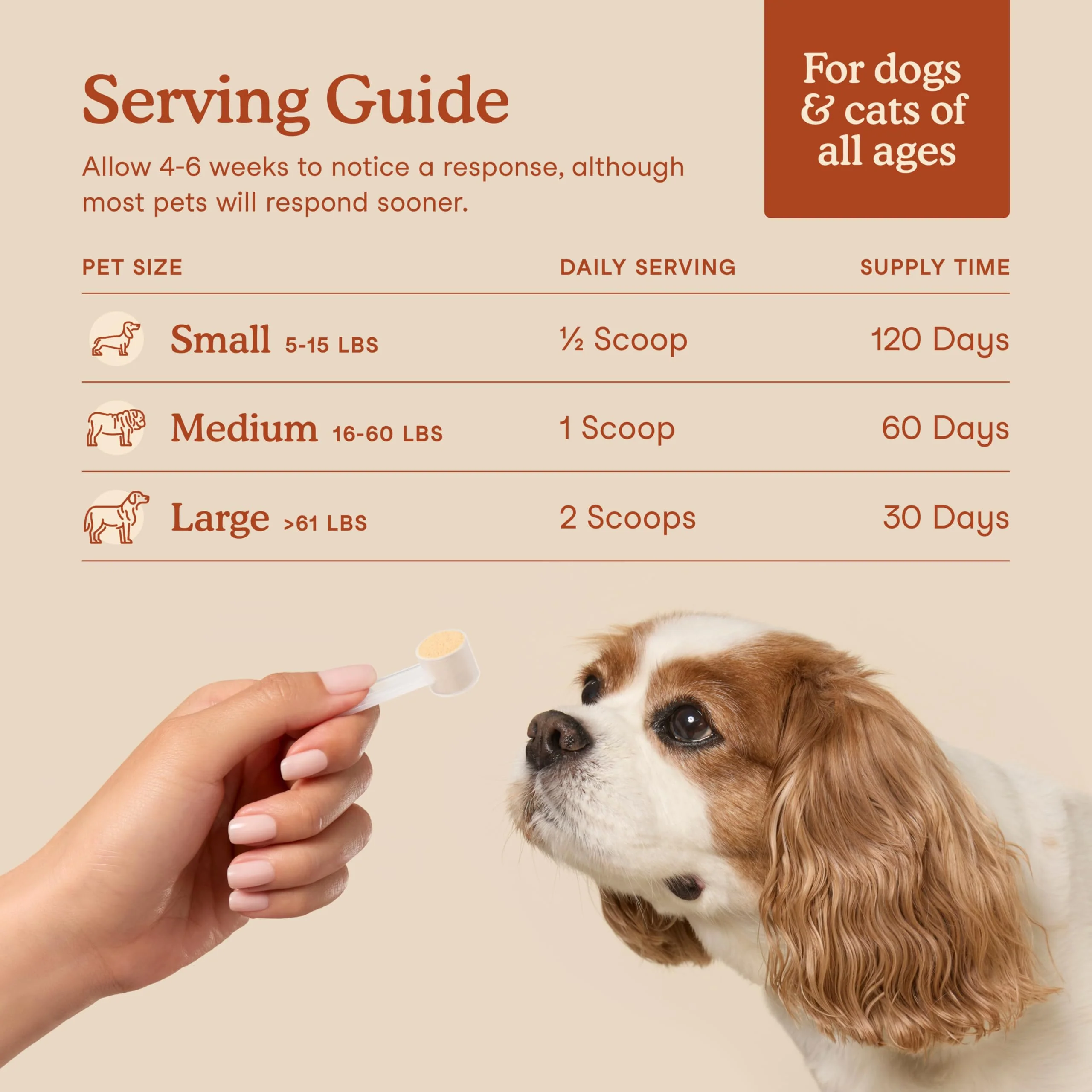 Fera Pets Probiotics for Dogs & Cats with Prebiotics - USDA Organic - Gut Health Powder Supplement with 12 Strains and 5 Billion CFUs - Supports Immunity, Energy and Skin & Coat - 60 Scoops - Image 5