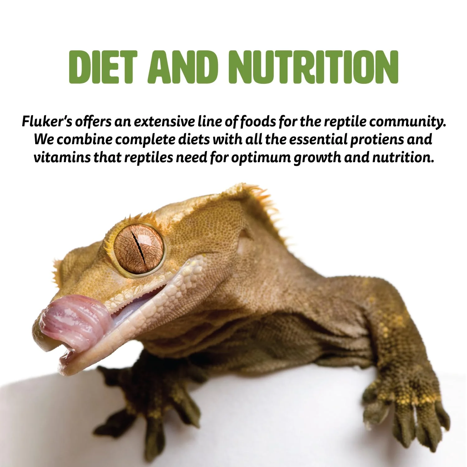 Fluker's Buffet Blend Juvenile Bearded Dragon Diet, Mealworms, Crickets and Pellets, 4.4 oz - Image 5