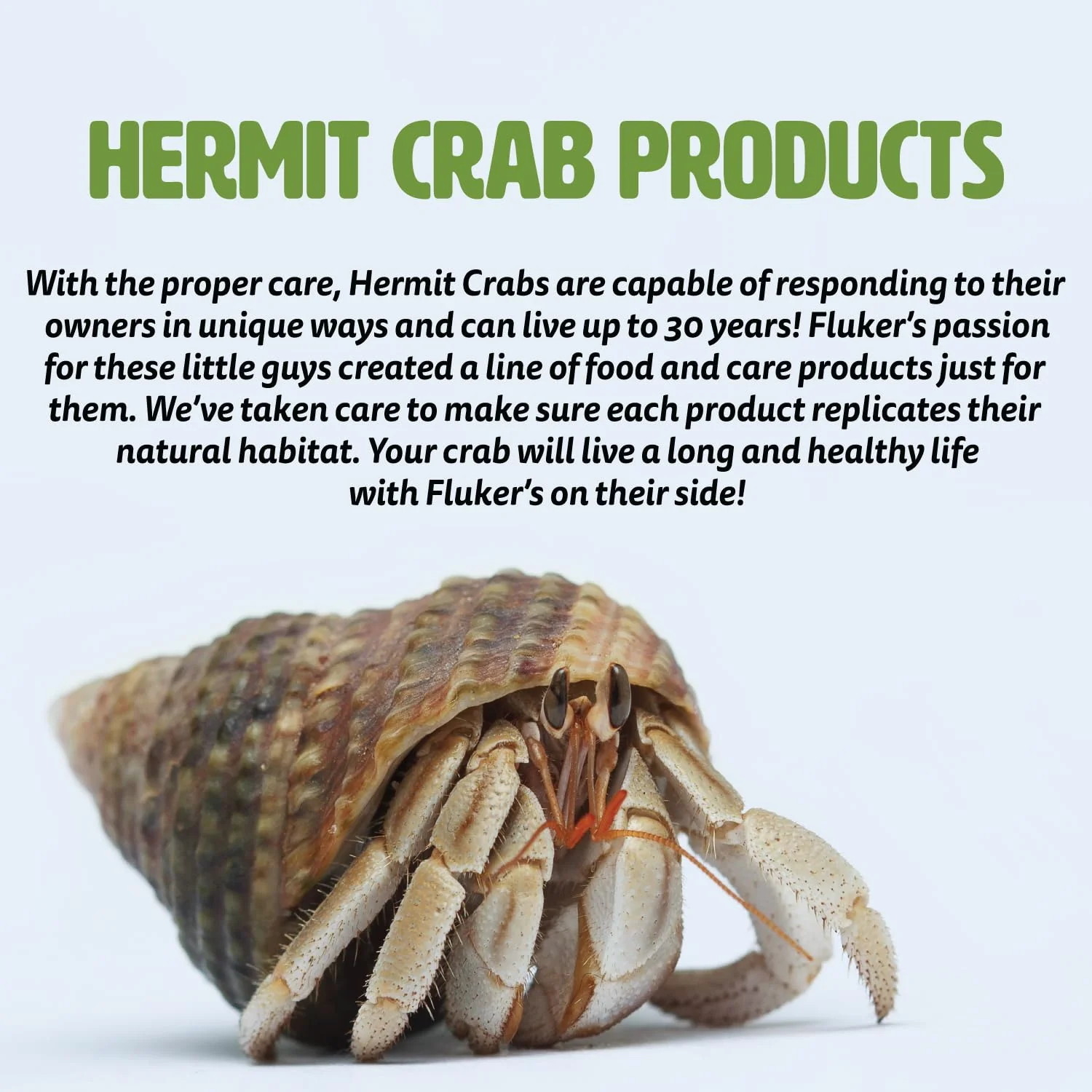 Fluker's Color Enhancer Treat for Hermit Crabs, Red - Image 6
