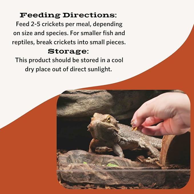 Fluker's Freeze Dried Crickets, Ideal for Reptiles, Birds, and Fish, Packed with Protein and Essential Nutrients, 1.2 oz - Image 4