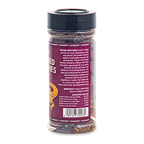 Fluker's Freeze Dried Dubia Roaches, Ideal for Lizards, Reptiles, Birds, Fish, Hedgehogs, 1.7 oz - Image 8