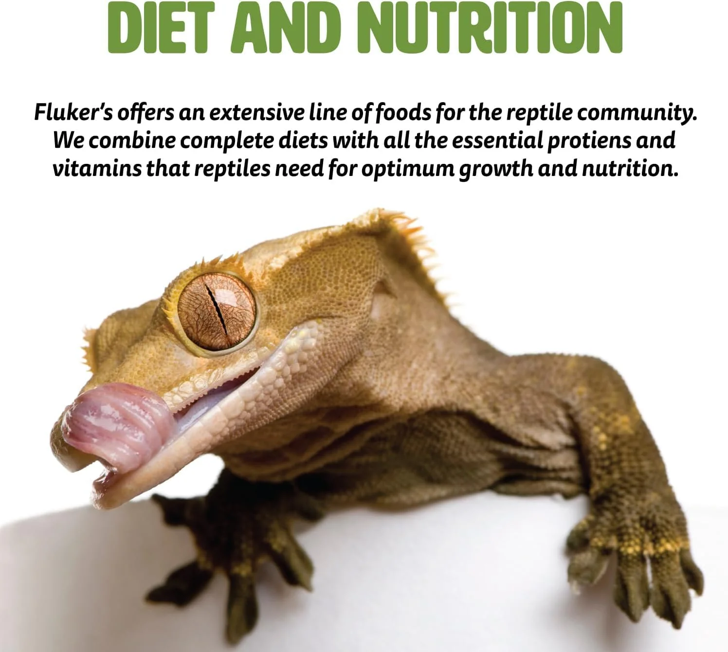 Fluker's Freeze Dried Superworms, for Reptiles, Ideal for Lizards, Reptiles, Birds, Fish, Hedgehogs, 1.7 oz - Image 3