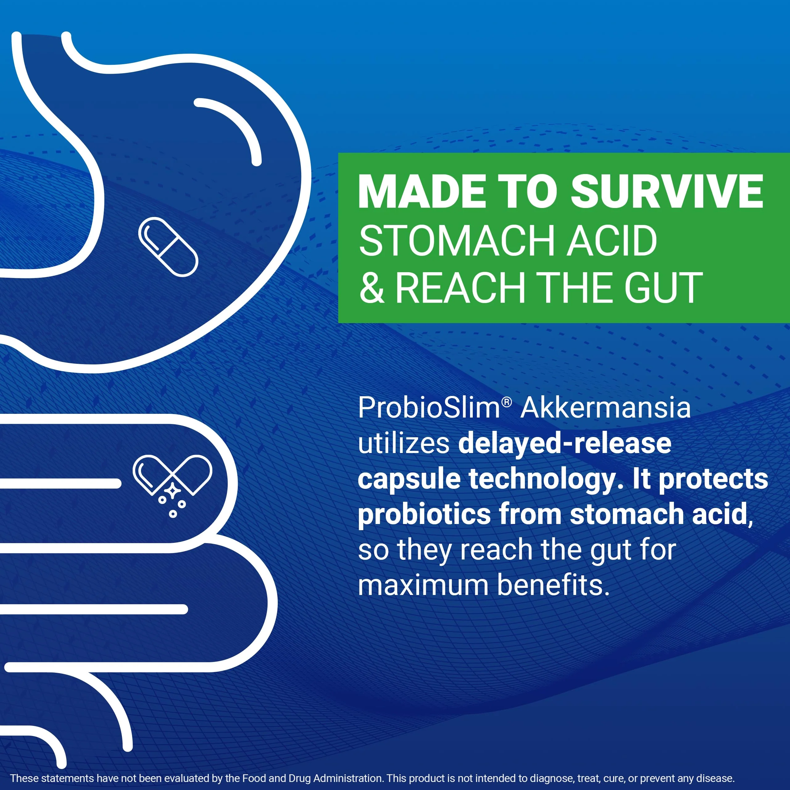Force Factor ProbioSlim Akkermansia Prebiotics & Probiotics, with 1B AFUs Akkermansia Muciniphila, Prebiotics & Chromax Chromium, Support Lean Body Mass, Digestion & Gut Health, 60 Vegetable Capsules - Image 6