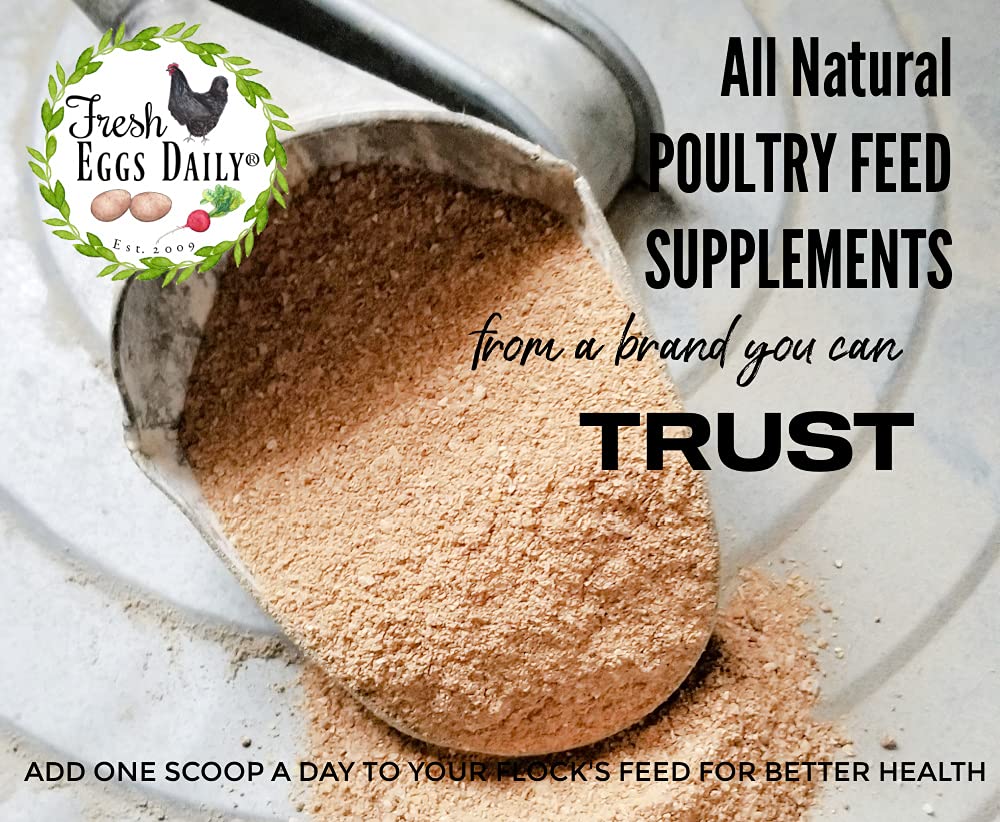 Fresh Eggs Daily Poultry Probiotics Feed Supplement – Natural Digestive & Immune Support for Chickens & Ducks – Enhances Egg Quality & Reduces Odor – 6 lb - Image 5