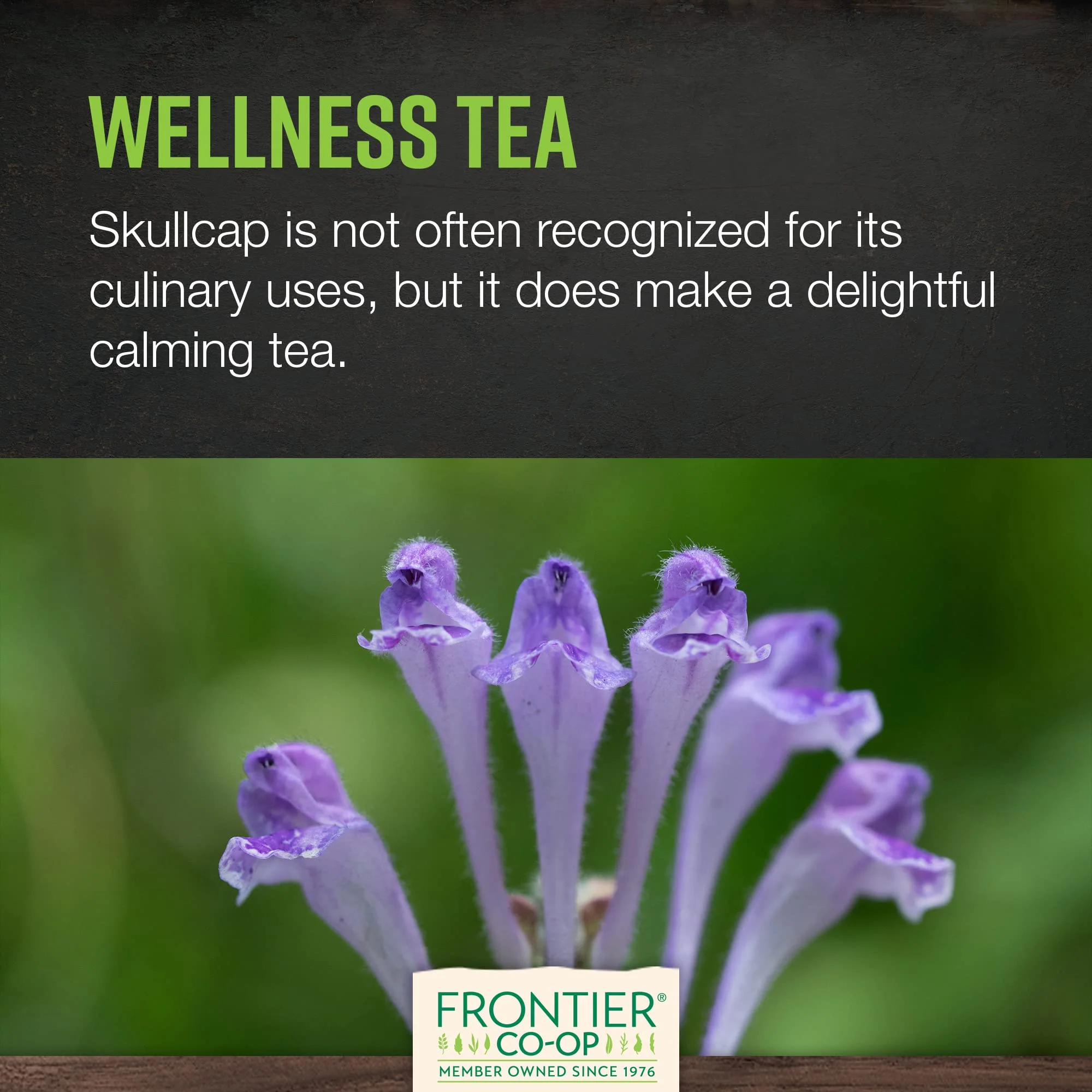 Frontier Co-op Organic Scullcap Herb Cut & Sifted Certified Organic Herbal Supplement 1lb - Skullcap Herb for Tincture, Tea, Supplement - Image 4