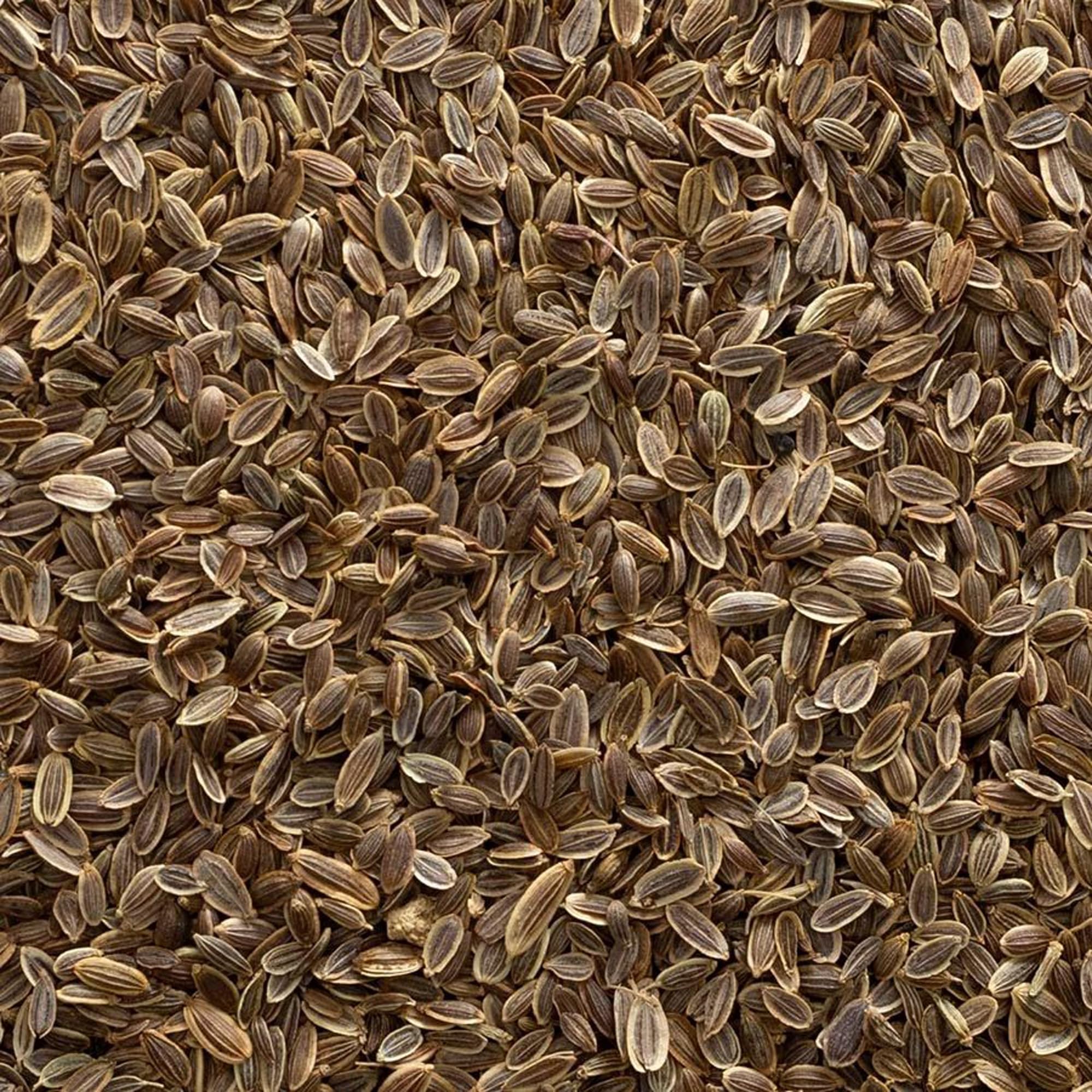 Frontier Co-op Organic Whole Dill Seed 1lb - Image 3