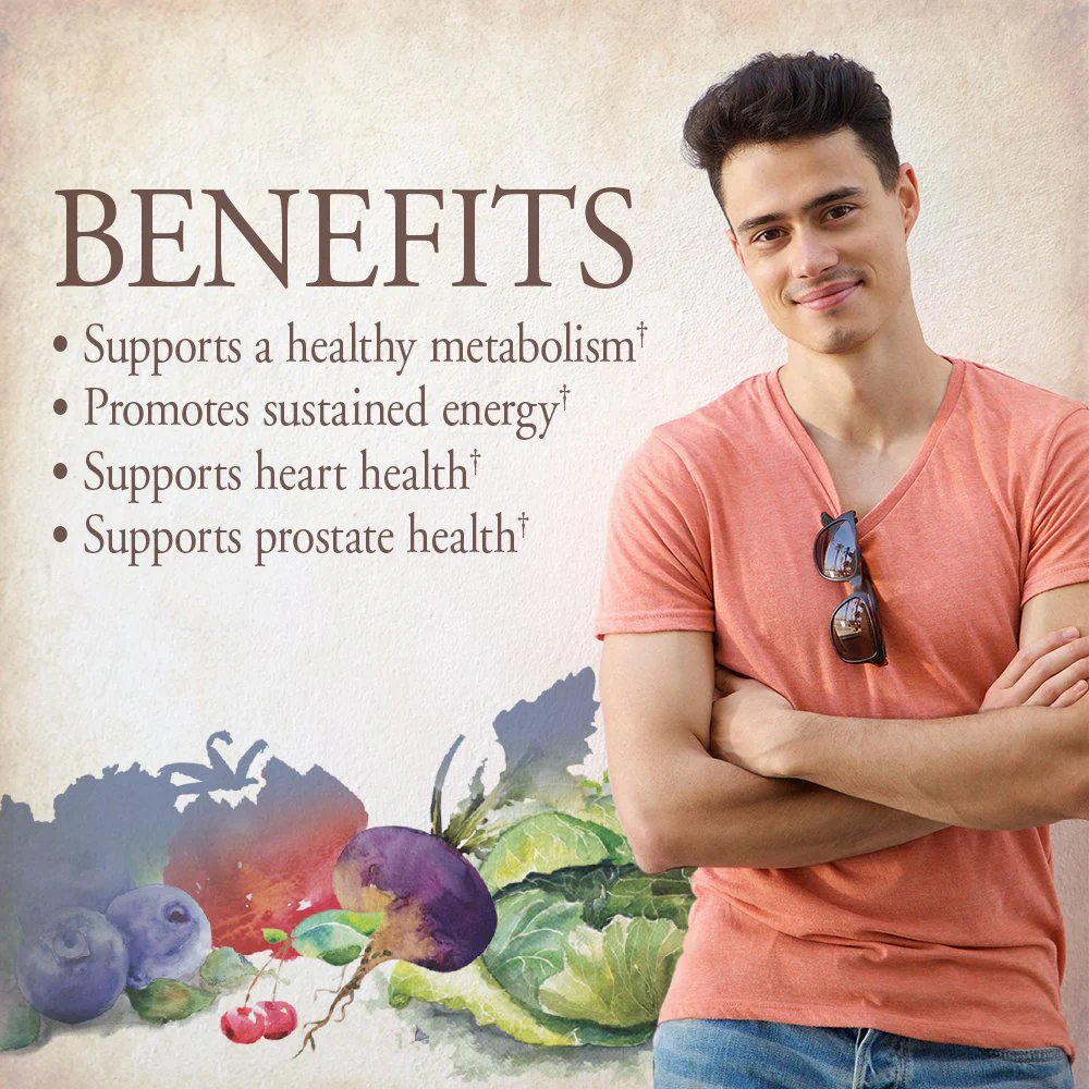 Garden of Life Once Daily Whole Food Multivitamin for Men, Organic Mens Vitamins & Minerals, Vitamin C, Zinc, Vegan, for Health & Well-Being, 30 Tablets - Image 2