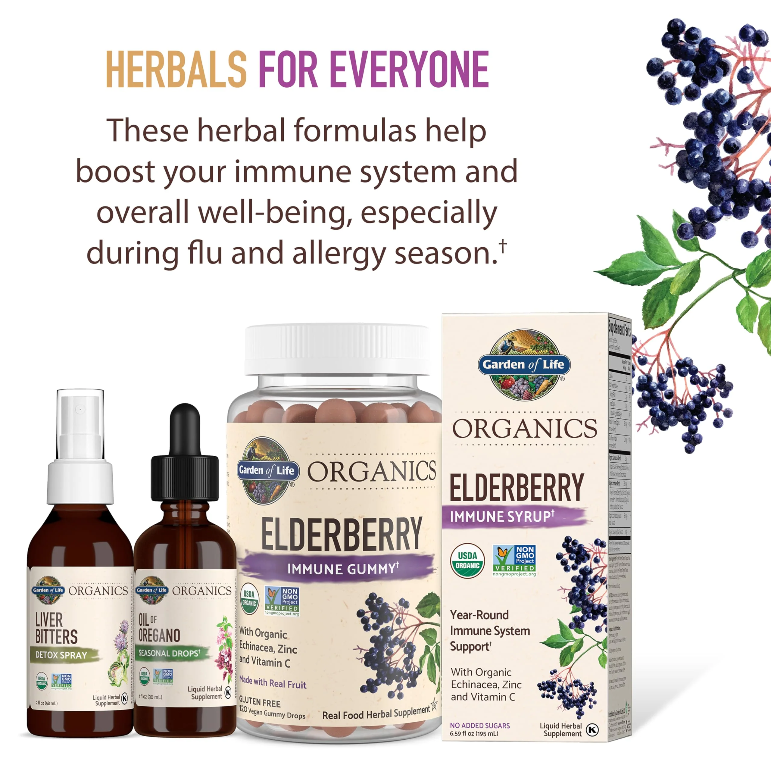 Garden of Life Organics Elderberry Gummies for Adults & Kids - Immune Support Supplement with Organic Fruit, Herbal Blend, Elderberry, Echinacea, Zinc, Vitamin C, 120 Vegan Gluten Free Gummies - Image 3