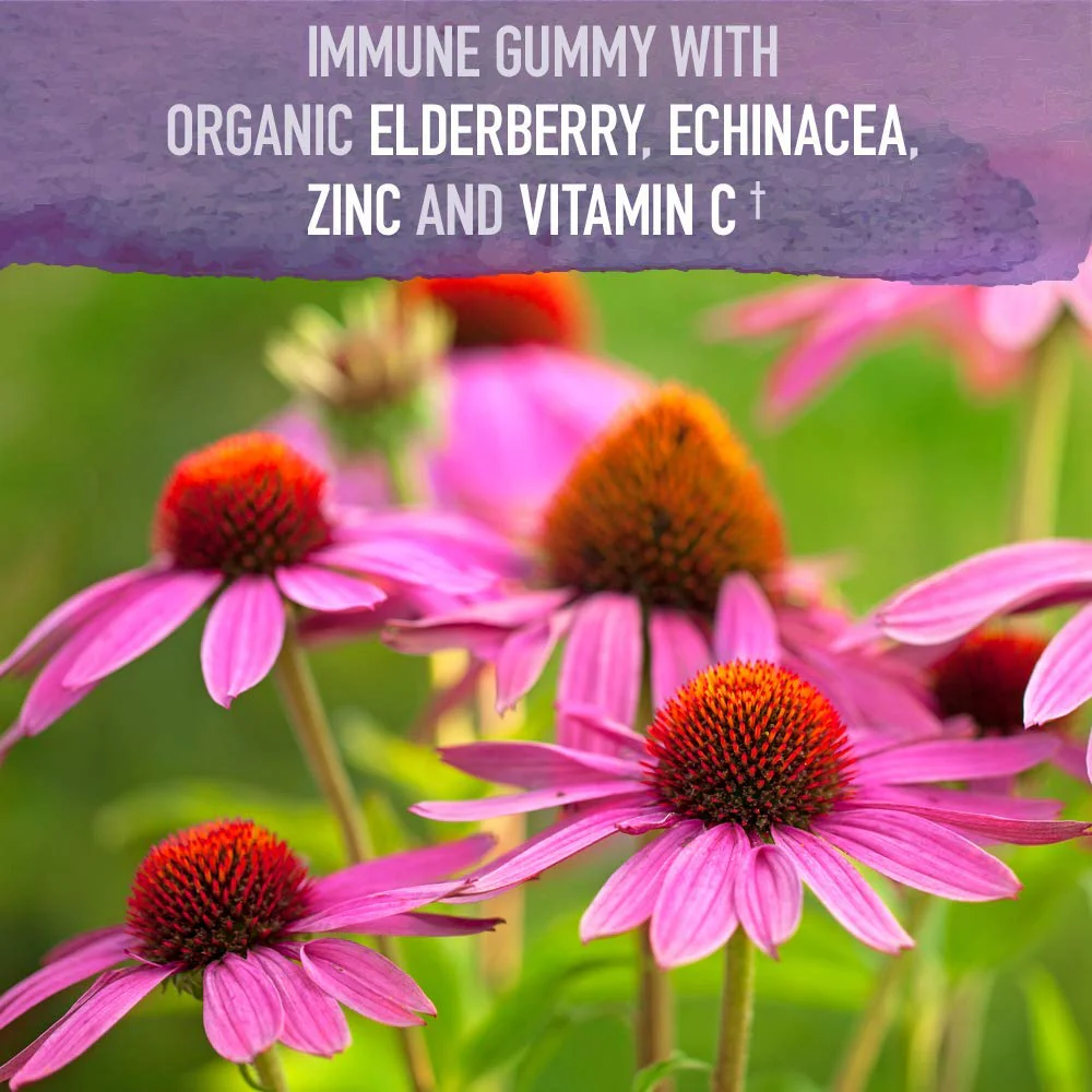 Garden of Life Organics Elderberry Gummies for Adults & Kids - Immune Support Supplement with Organic Fruit, Herbal Blend, Elderberry, Echinacea, Zinc, Vitamin C, 120 Vegan Gluten Free Gummies - Image 7