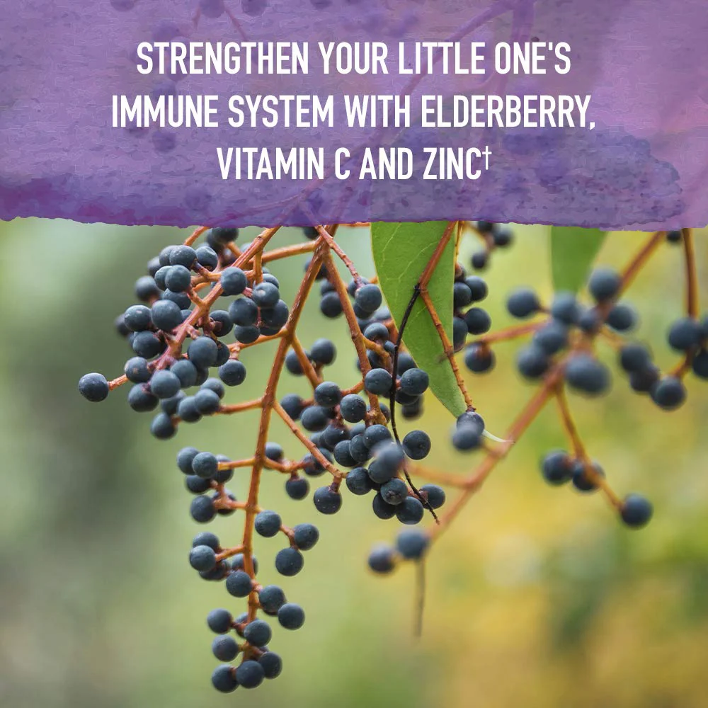 Garden of Life Organics Elderberry Immune Support for Kids with Zinc, Vitamin C - Kids Elderberry & Sleep Immune Syrup Liquid, Bedtime Herbs for Children, No Alcohol, No Added Sugar, 3.92 fl oz - Image 4