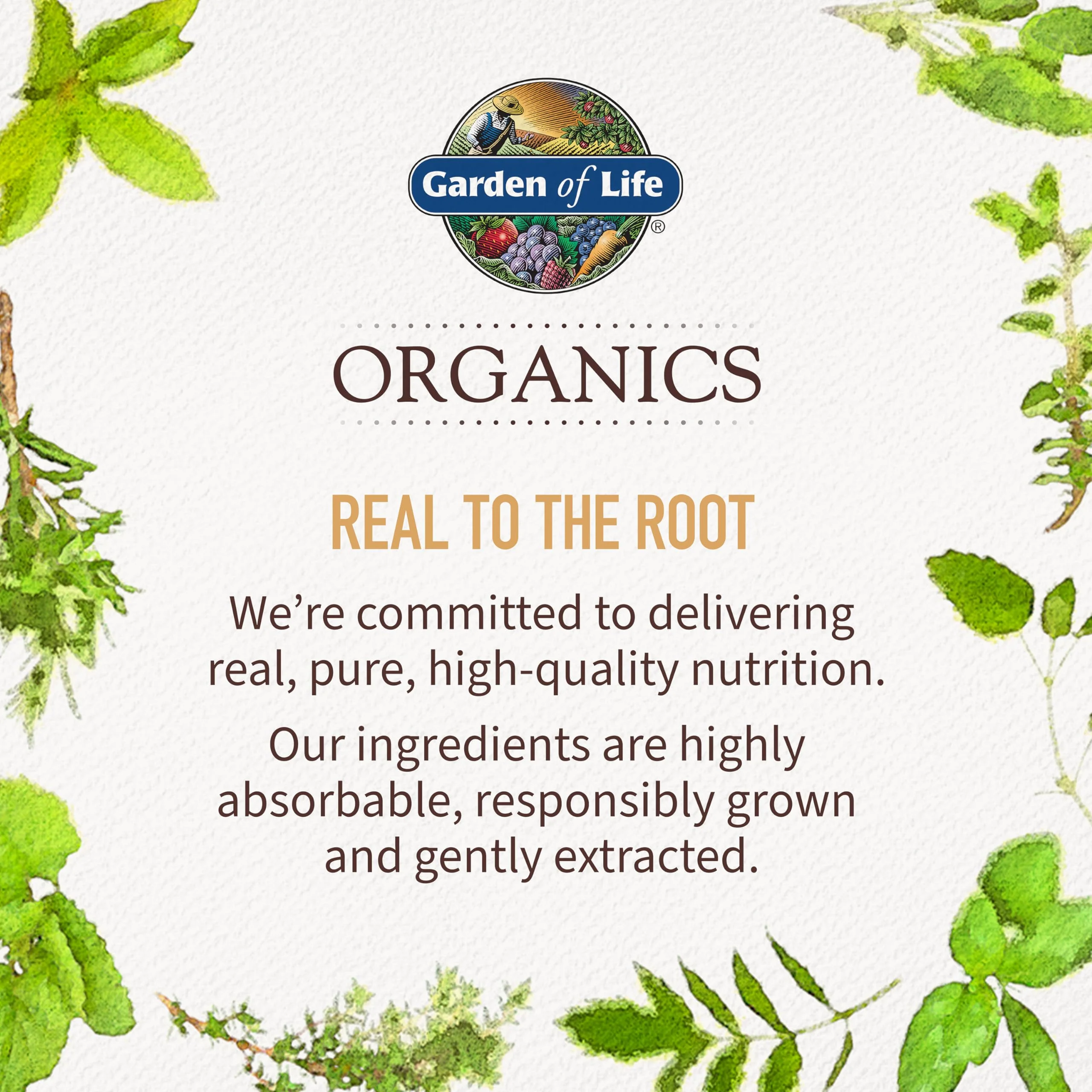 Garden of Life Organics Extra Strength Turmeric Inflammatory Response 120 Tablets-100Mg Curcumin (95% Curcuminoids) Black Pepper, Probiotics, Organic Non-GMO Vegan Gluten Free Herbal Supplement - Image 8