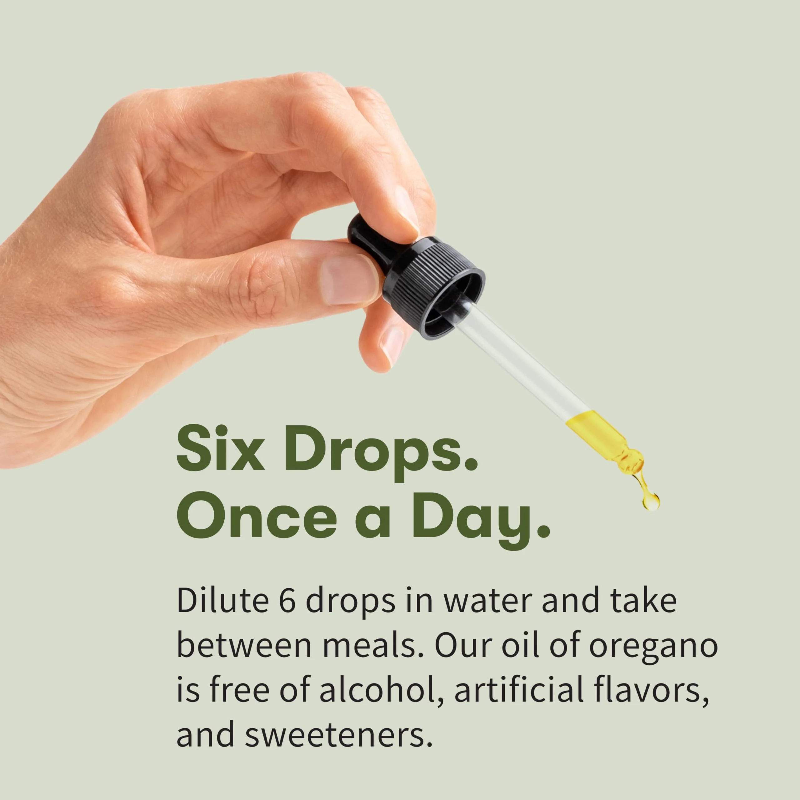 Garden of Life Organics Oil of Oregano Seasonal Drops 1fl oz (30 mL) Liquid, Concentrated Plant Based Immune Support - Alcohol-Free, Organic, Non-GMO, Vegan & Gluten Free Herbal Supplements - Image 3