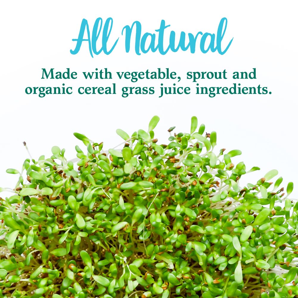 Garden of Life Perfect Food Super Green Formula - 60 Servings, 45 Superfoods, Greens, Fruit & Veggie Juice Superfood Powder Supplement, Probiotics & Organic Spirulina for Digestion & Immune Health - Image 3