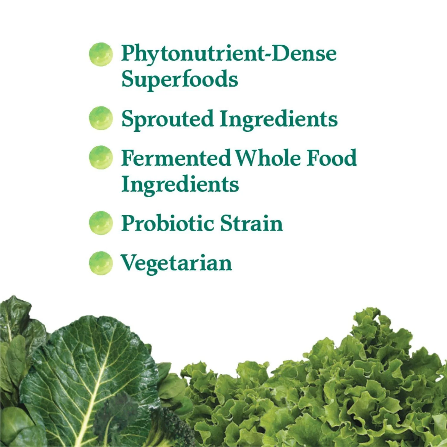 Garden of Life Perfect Food Super Green Formula - 60 Servings, 45 Superfoods, Greens, Fruit & Veggie Juice Superfood Powder Supplement, Probiotics & Organic Spirulina for Digestion & Immune Health - Image 8