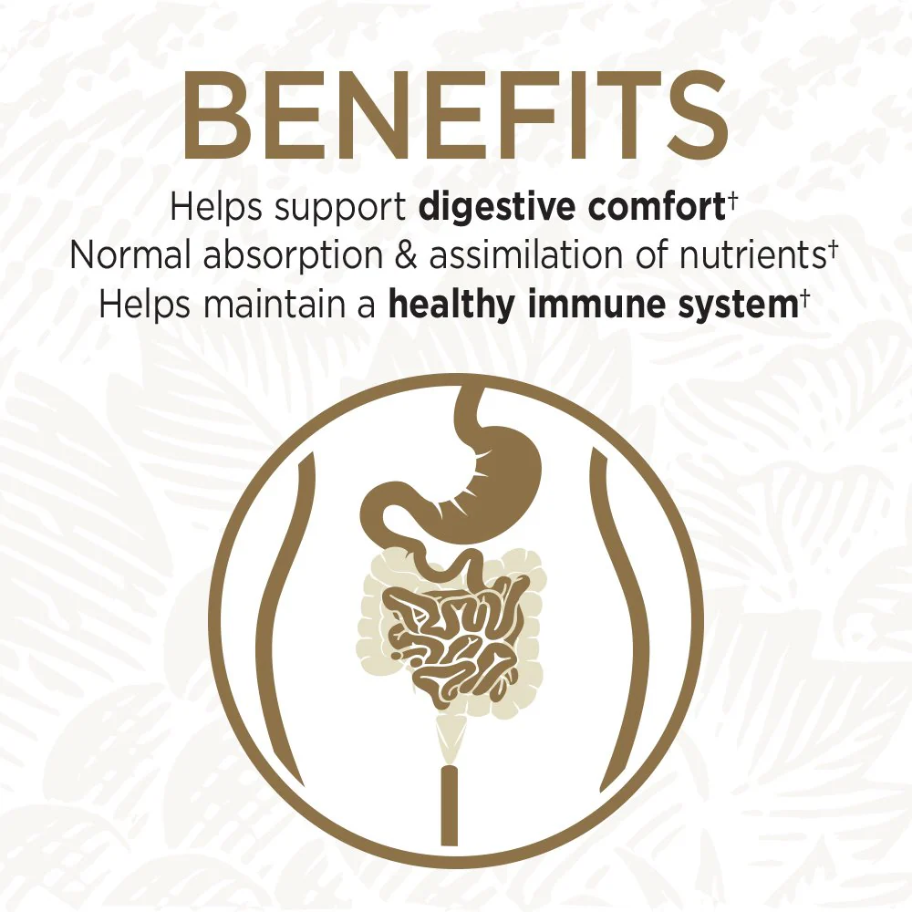 Garden of Life Probiotics for Digestive Health and Gut Health Balance, Primal Defense Ultra Ultimate Formula, 15 Billion CFU and 13 Strains Plus HSOs, Vegetarian and Gluten Free, 180 Capsules - Image 5