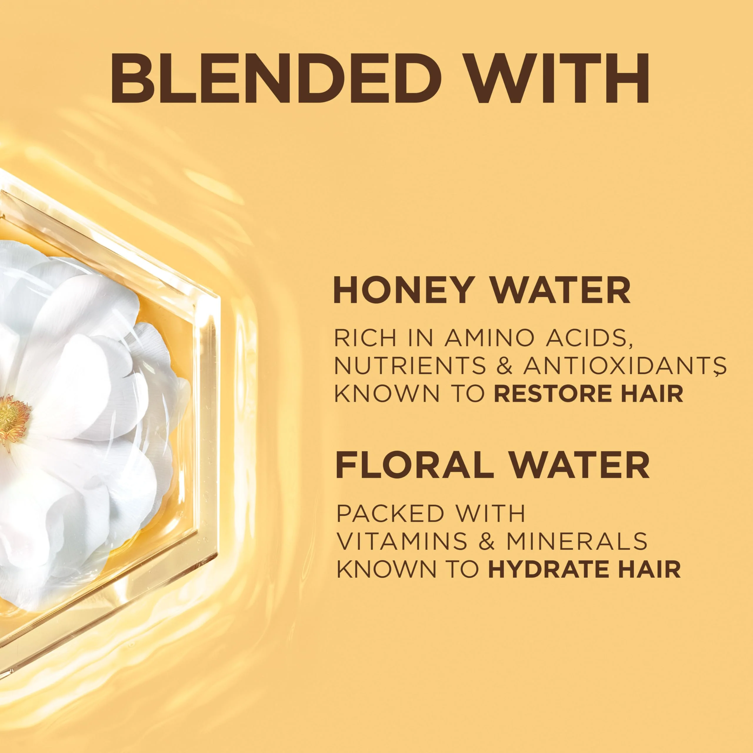 Garnier Whole Blends Honey Water Moisture Restoring Shampoo, Hair Care for Dry Hair and Dry Scalp with Honey Nectar and Floral Water, 28 Fl Oz - Image 20