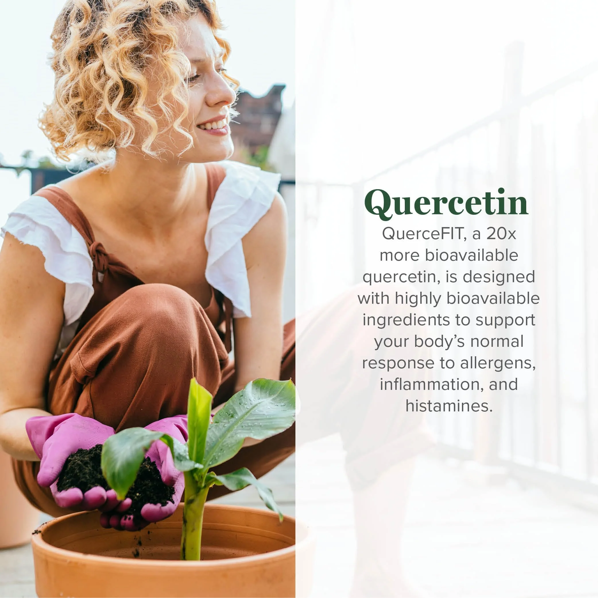 Global Healing Center Quercetin 250 mg Supplement to Support Immune System, Includes QuerceFIT Without Bromelain & Zinc (60 Capsules) - Image 2