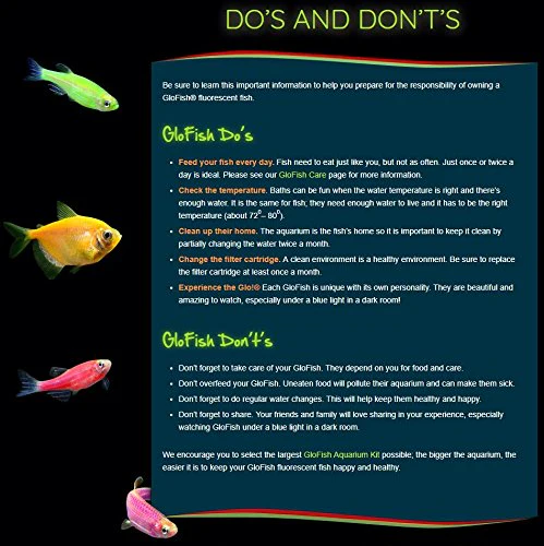 GloFish Aquarium Gravel, Pink/Green/Blue Mix, Complements GloFish Tanks, 5 Pounds - Image 3