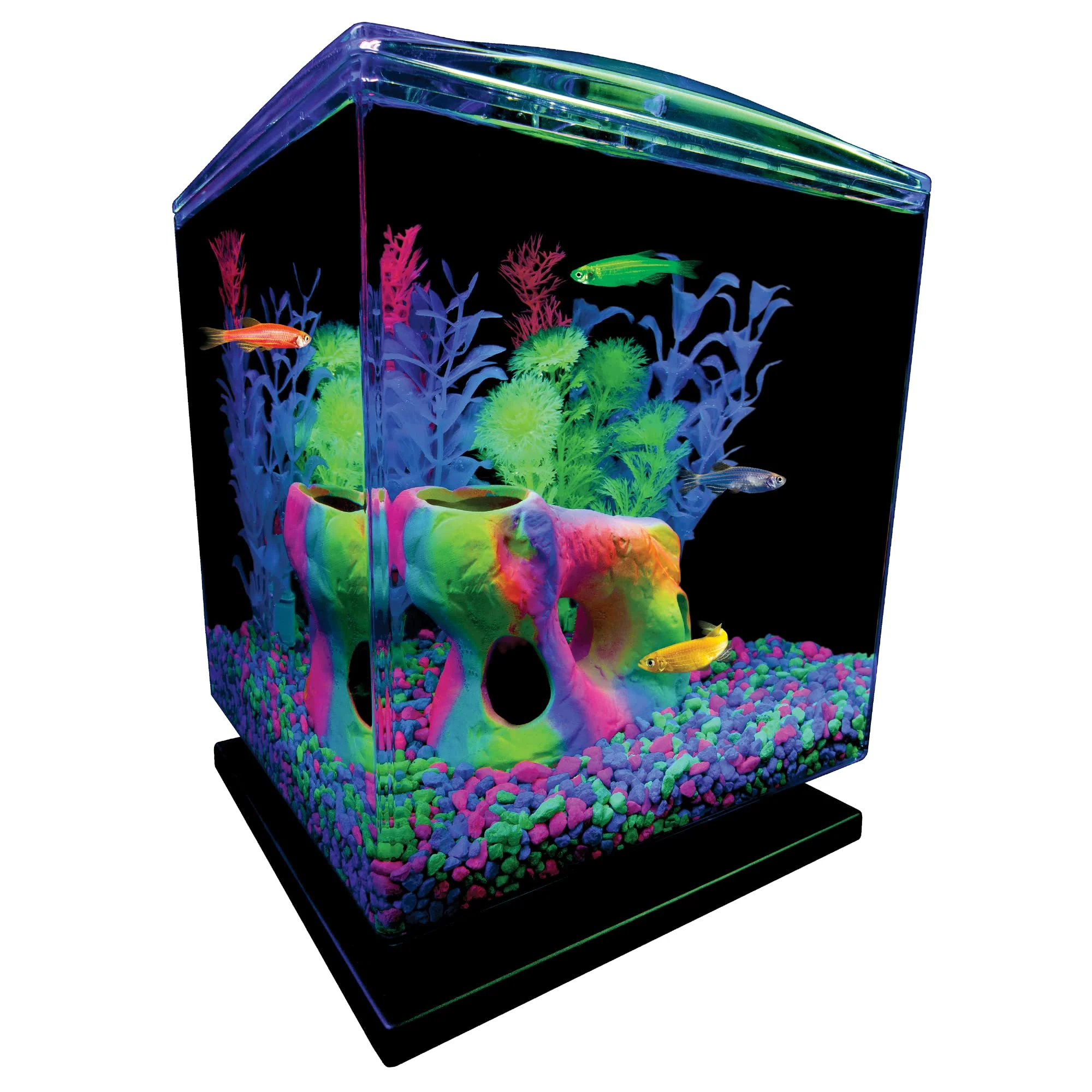 GloFish Aquarium Gravel, Pink/Green/Blue Mix, Complements GloFish Tanks, 5 Pounds - Image 7