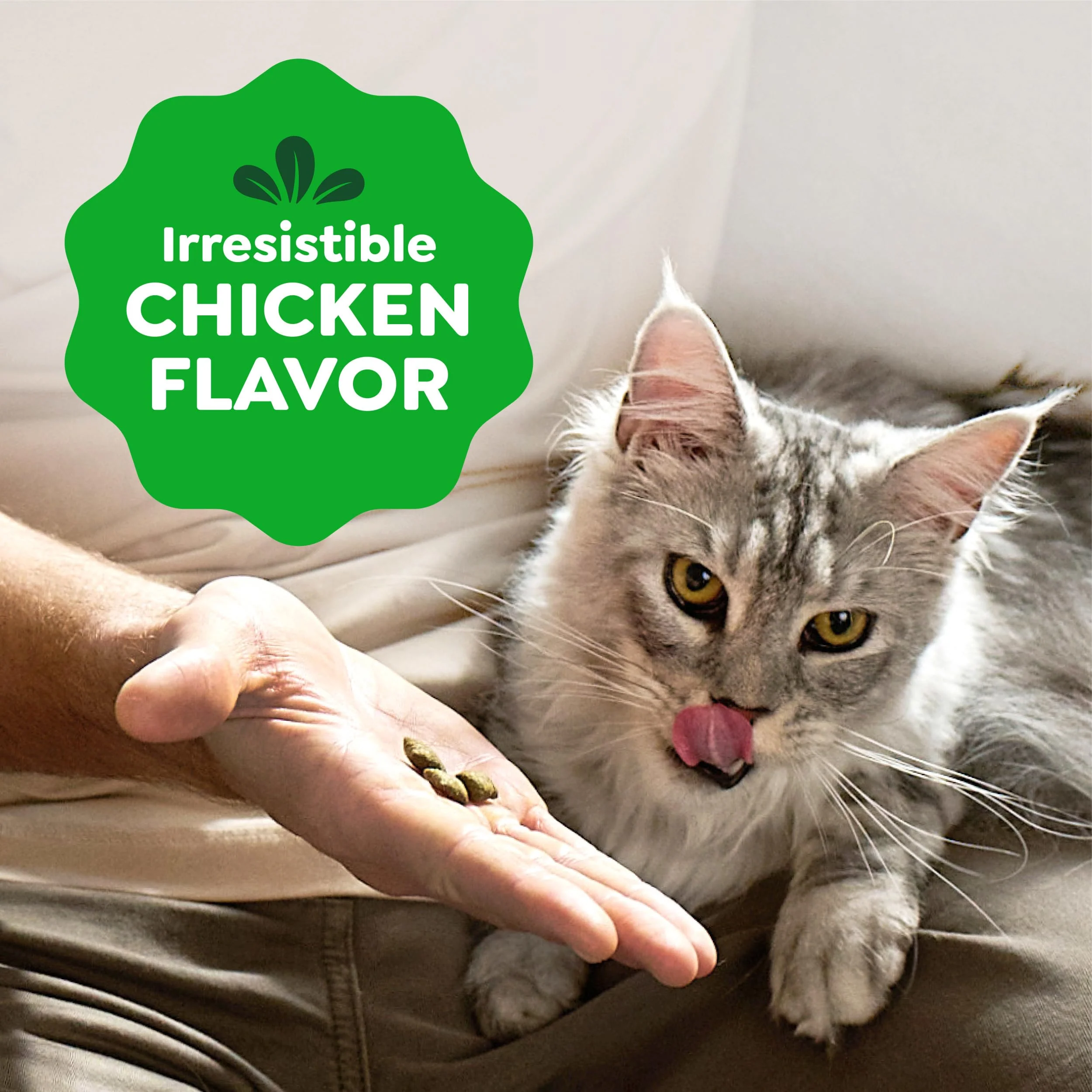 Greenies Cat Treats, Feline Smartbites, Skin & Fur Health, Crunchy and Soft Cat Treats, Chicken Flavor, 2.1 oz. Pack - Image 5