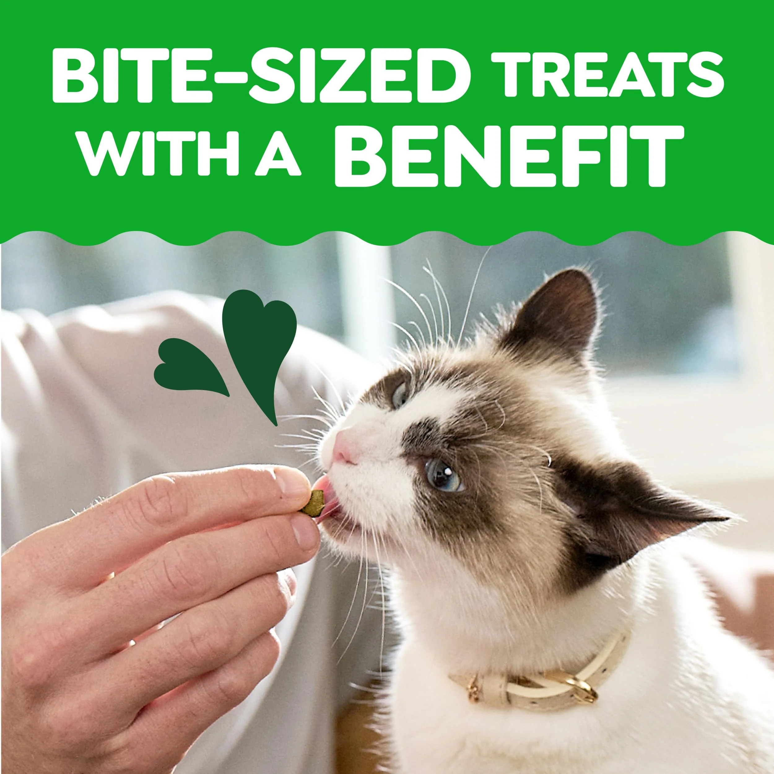 Greenies Cat Treats, Feline Smartbites, Skin & Fur Health, Crunchy and Soft Cat Treats, Chicken Flavor, 2.1 oz. Pack - Image 6