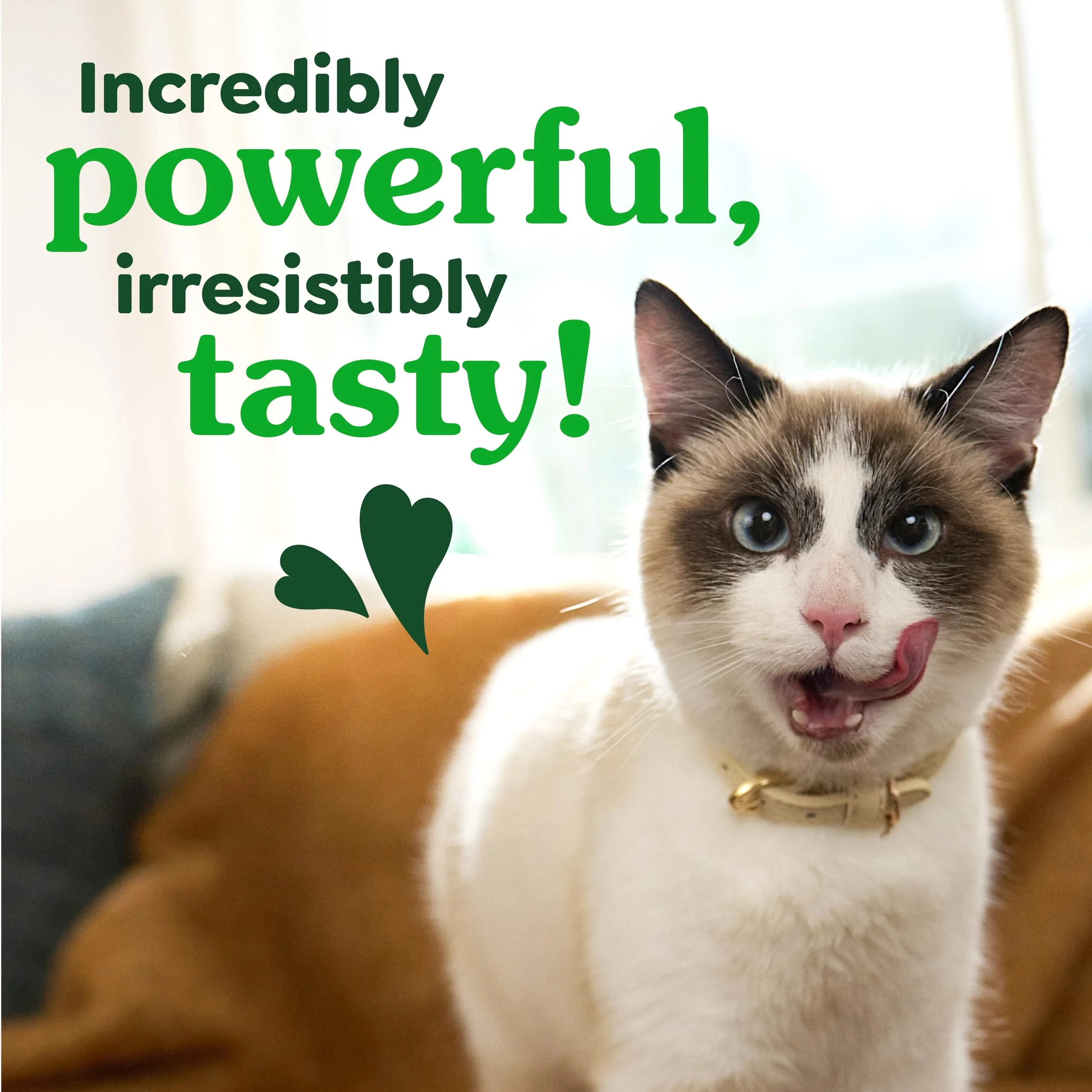 Greenies Cat Treats, Feline Veterinarian-Recommended Adult Natural Dental Cat Treats, Oven Roasted Chicken Flavor, 2.1 oz. Pouch - Image 5