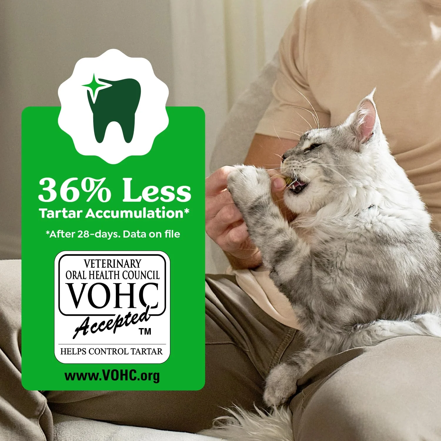 Greenies Cat Treats, Feline Veterinarian-Recommended Adult Natural Dental Cat Treats, Oven Roasted Chicken Flavor, 4.6 oz. Pouch - Image 6