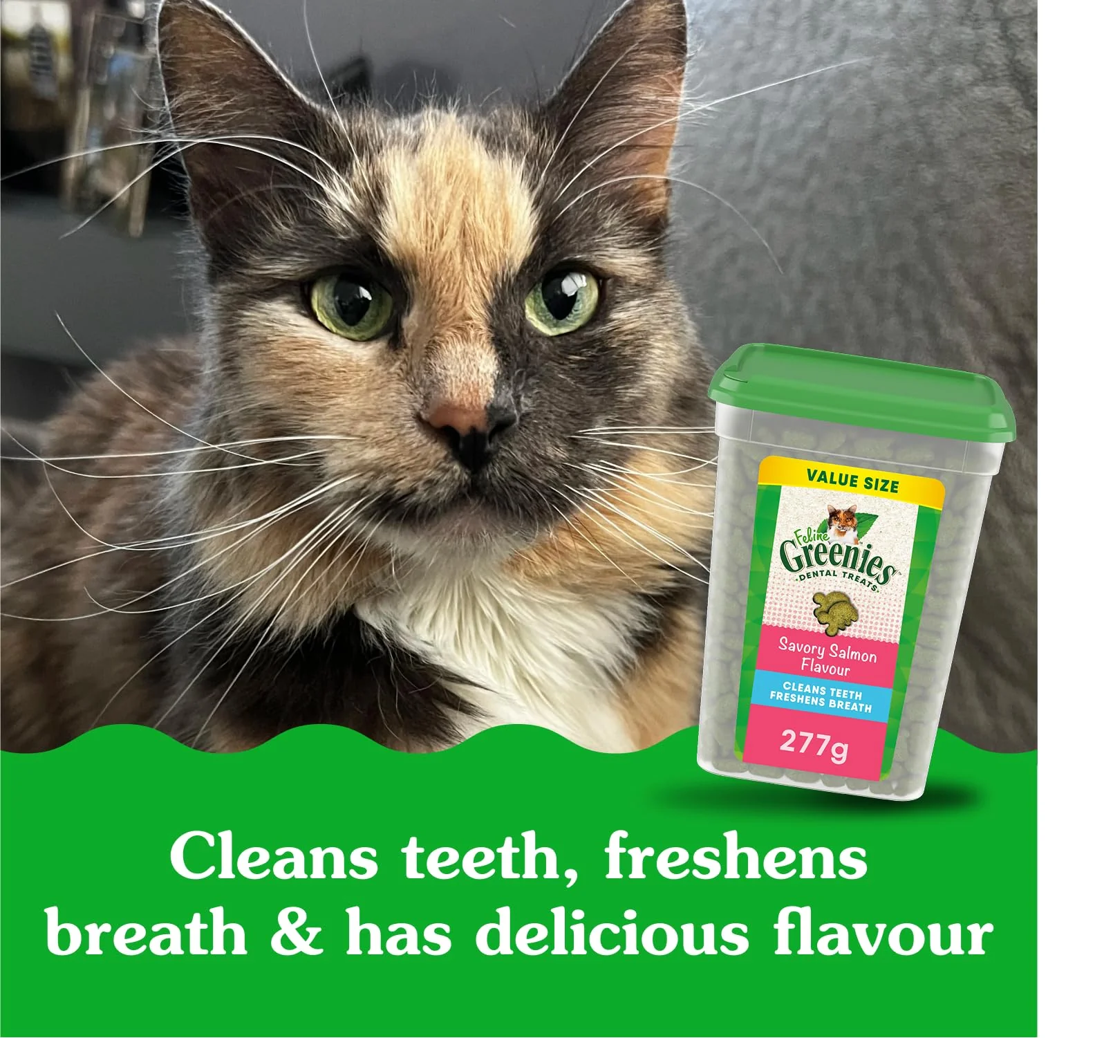 Greenies Cat Treats, Feline Veterinarian-Recommended Adult Natural Dental Cat Treats, Savory Salmon Flavor, 9.75 oz. Tub - Image 7