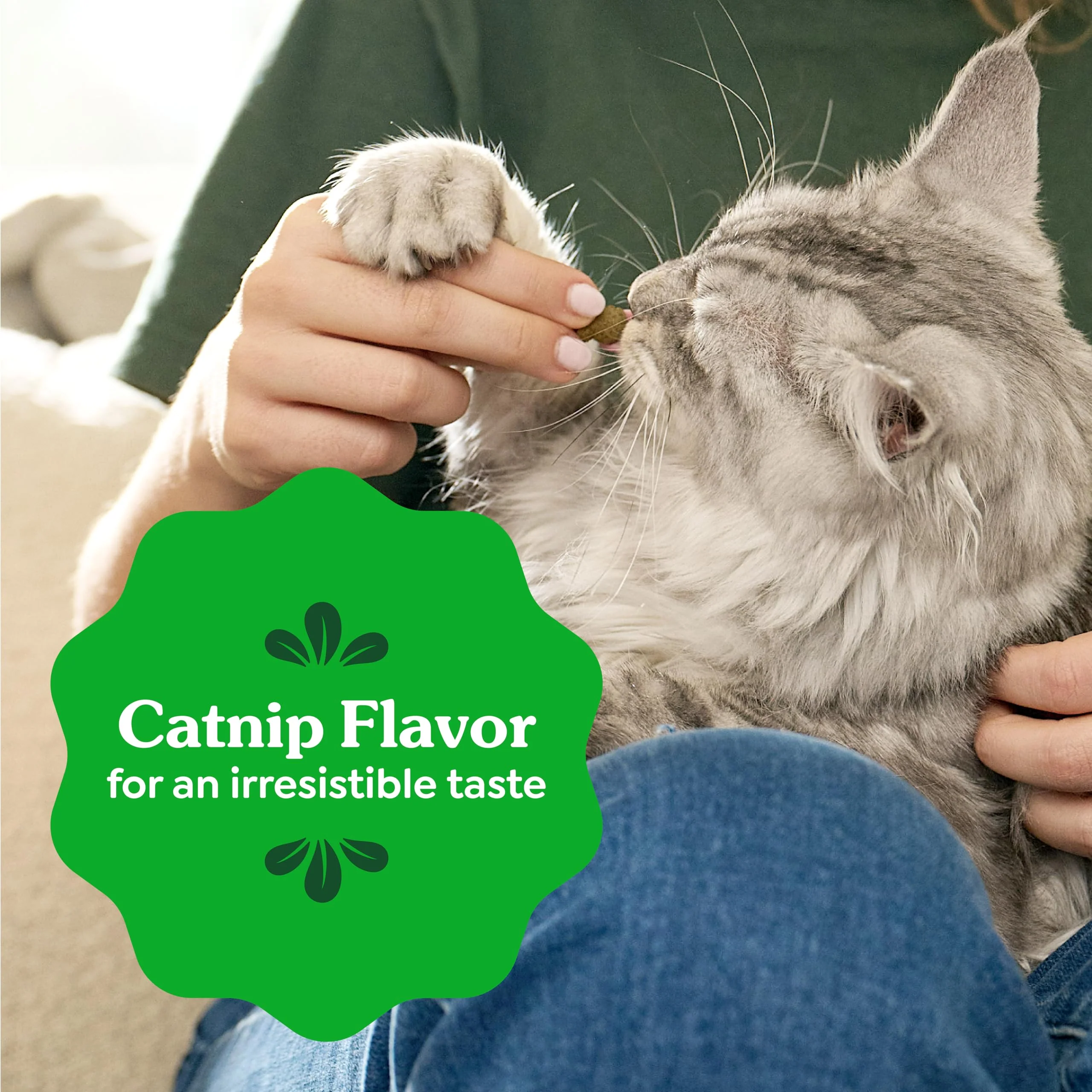 Greenies Cat Treats, Feline Veterinarian-Recommended Adult Natural Dental Treats, Catnip Flavor, 21 oz. Tub - Image 4