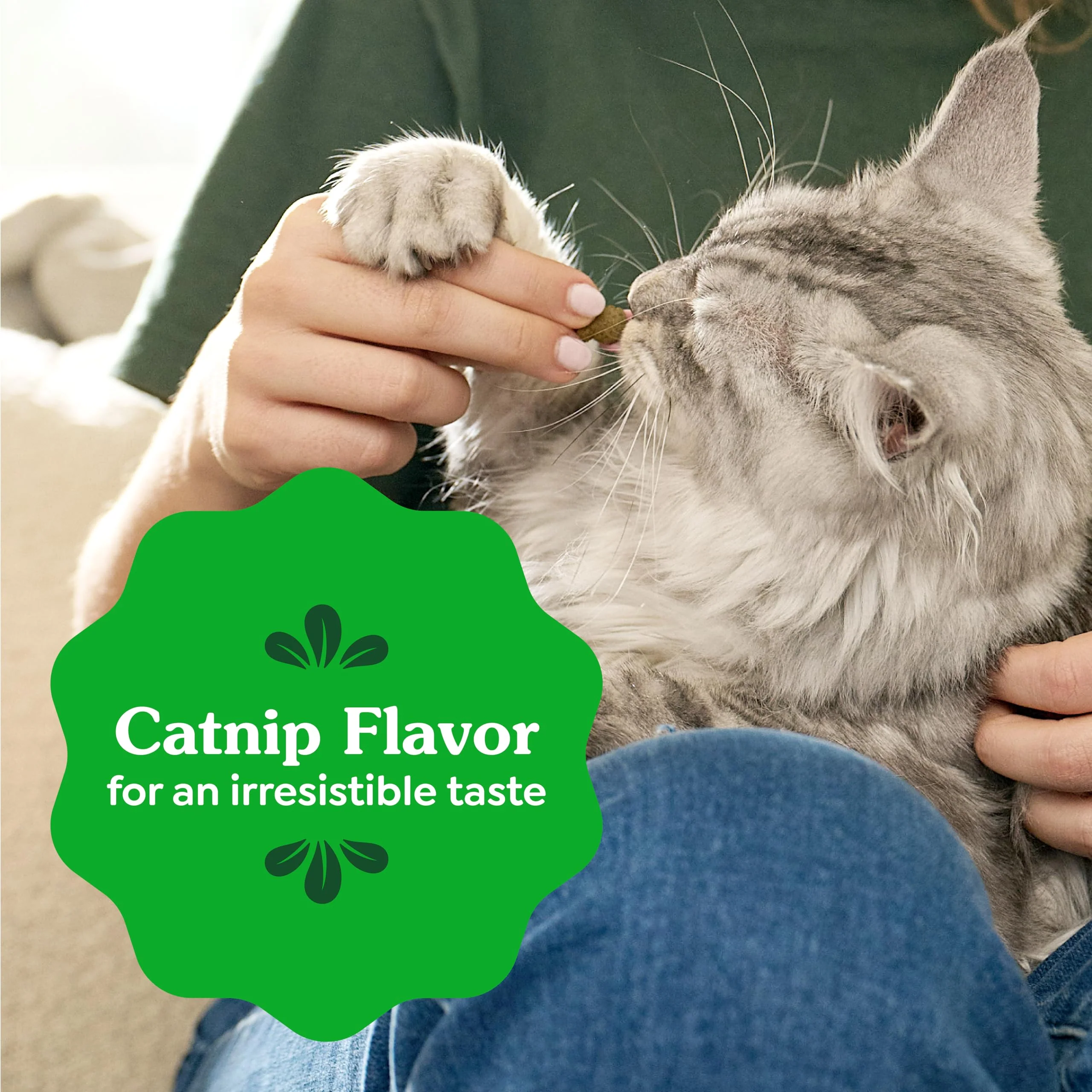 Greenies Cat Treats, Feline Veterinarian-Recommended Adult Natural Dental Treats, Catnip Flavor, 9.75 oz. Tub - Image 9