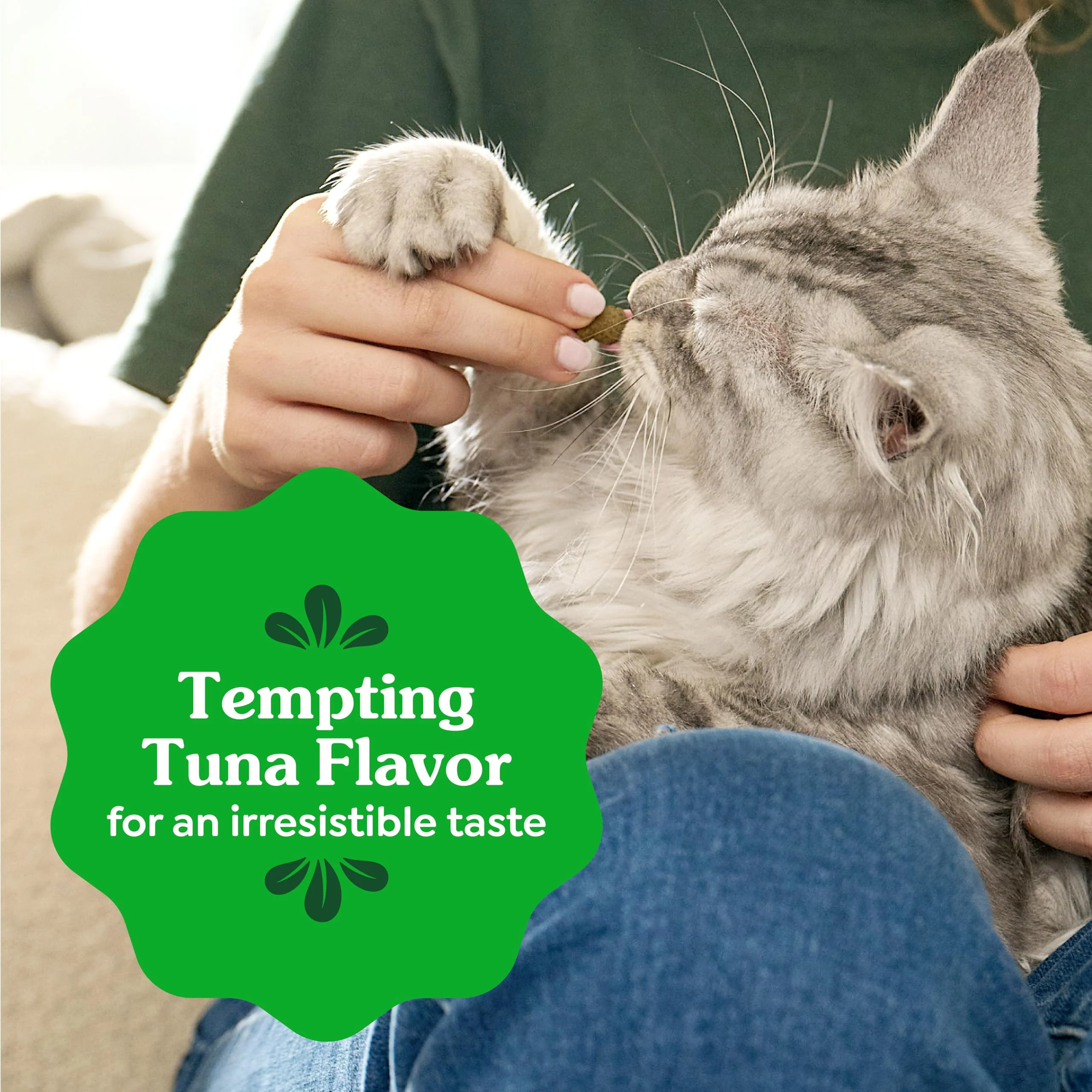 Greenies Cat Treats, Veterinarian-Recommended Adult Natural Dental Cat Treats, Tempting Tuna Flavor, 21 oz. Tub - Image 4