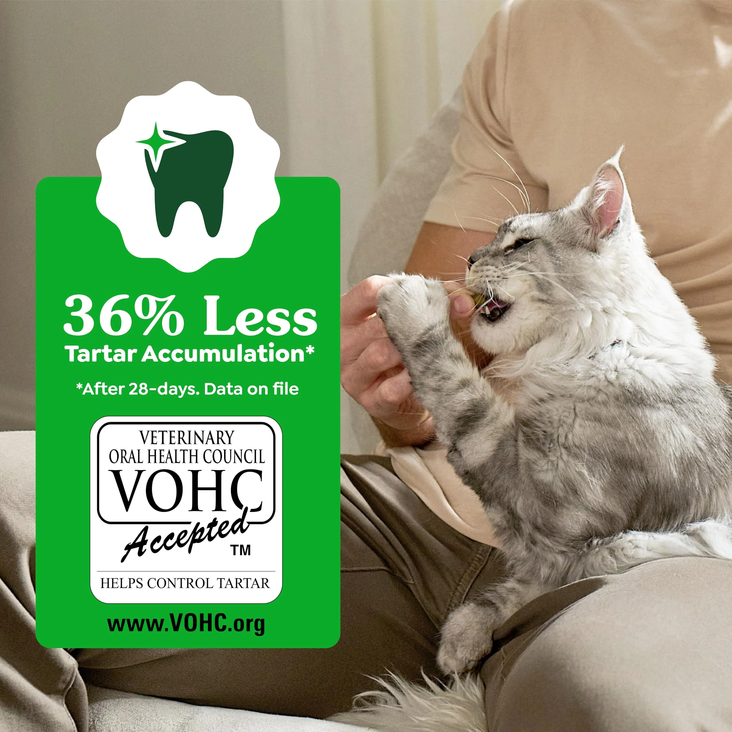 Greenies Cat Treats, Veterinarian-Recommended Adult Natural Dental Cat Treats, Tempting Tuna Flavor, 21 oz. Tub - Image 6